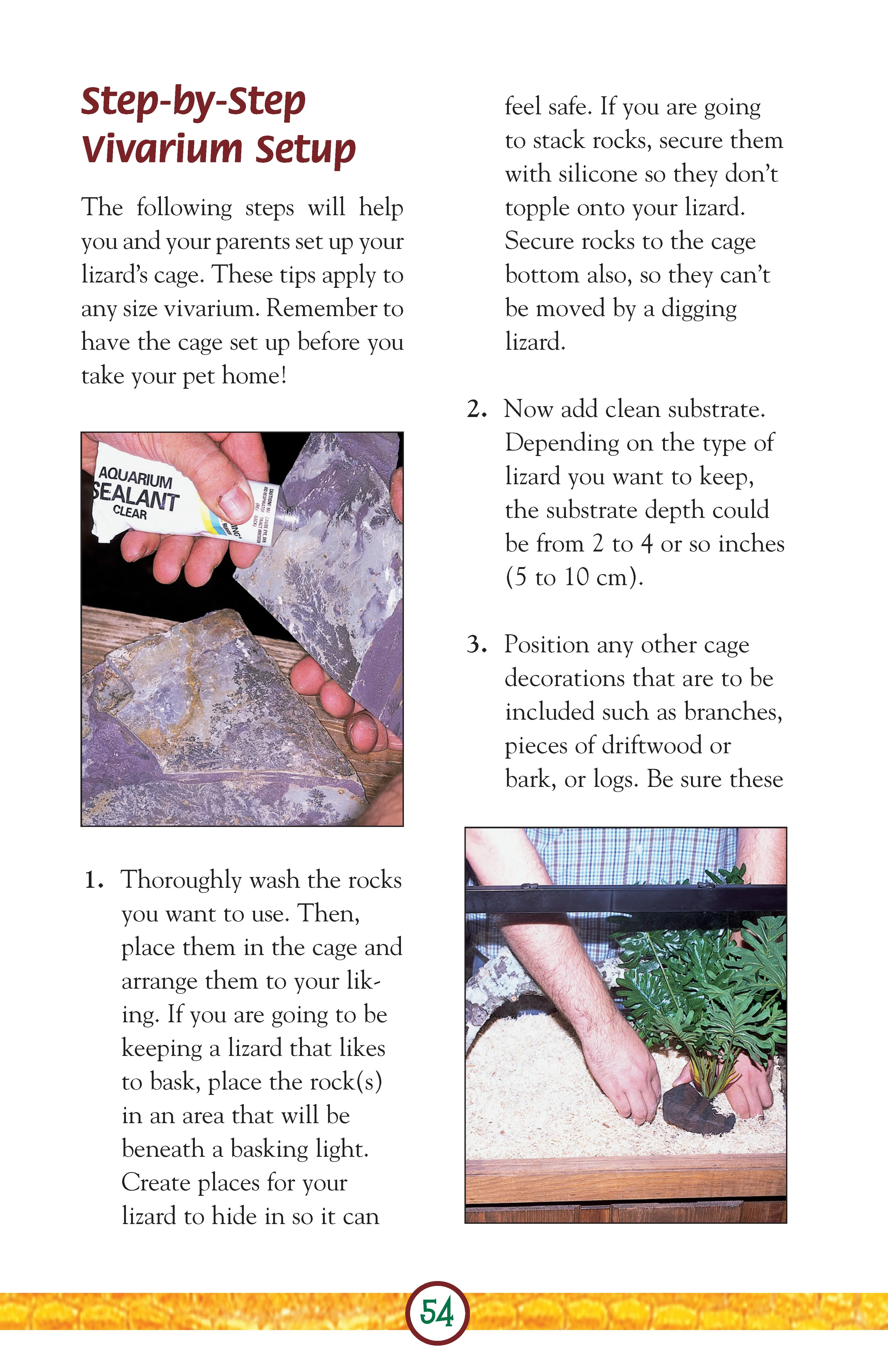 Lizards - Image 3