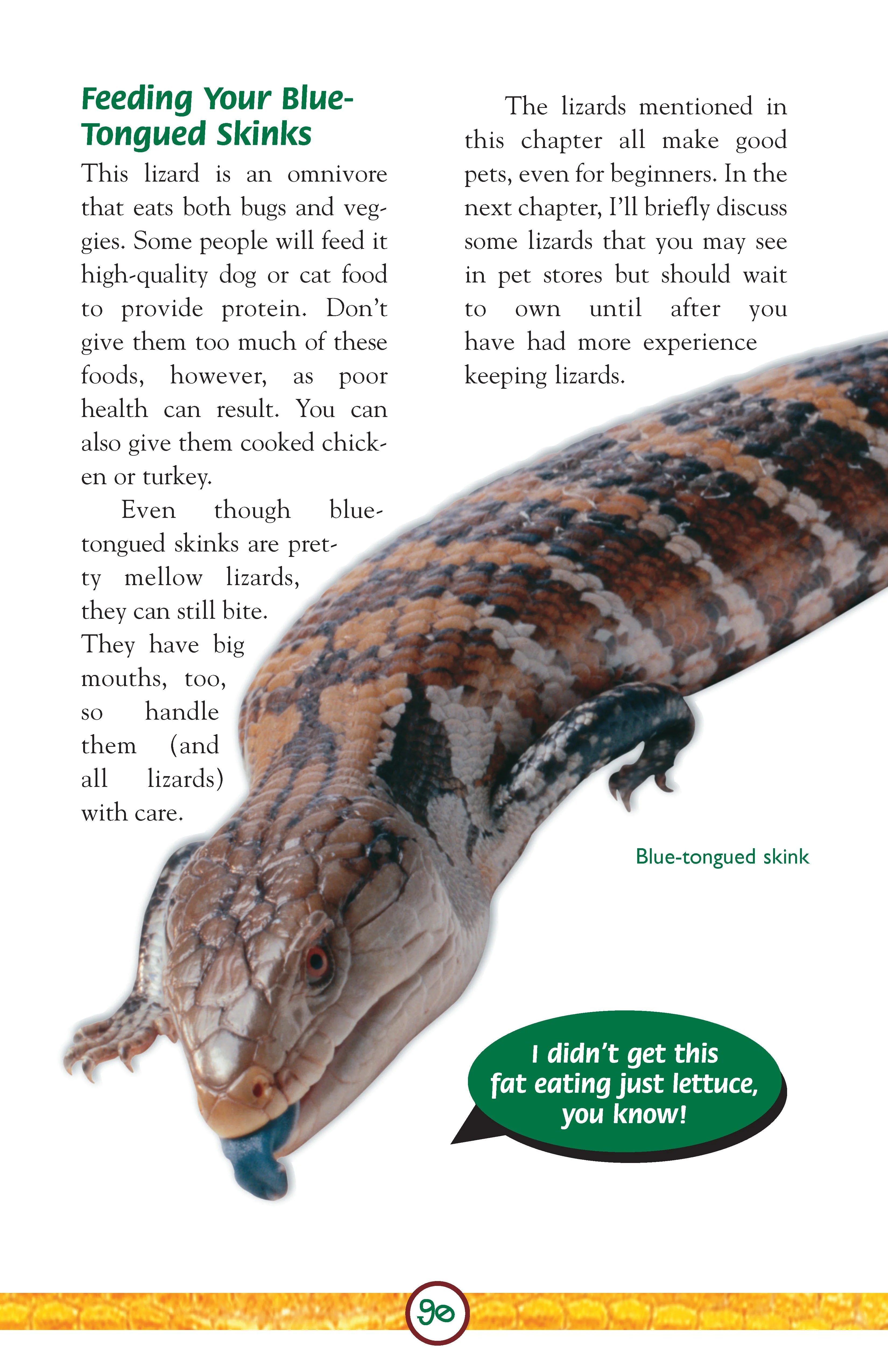 Lizards - Image 4