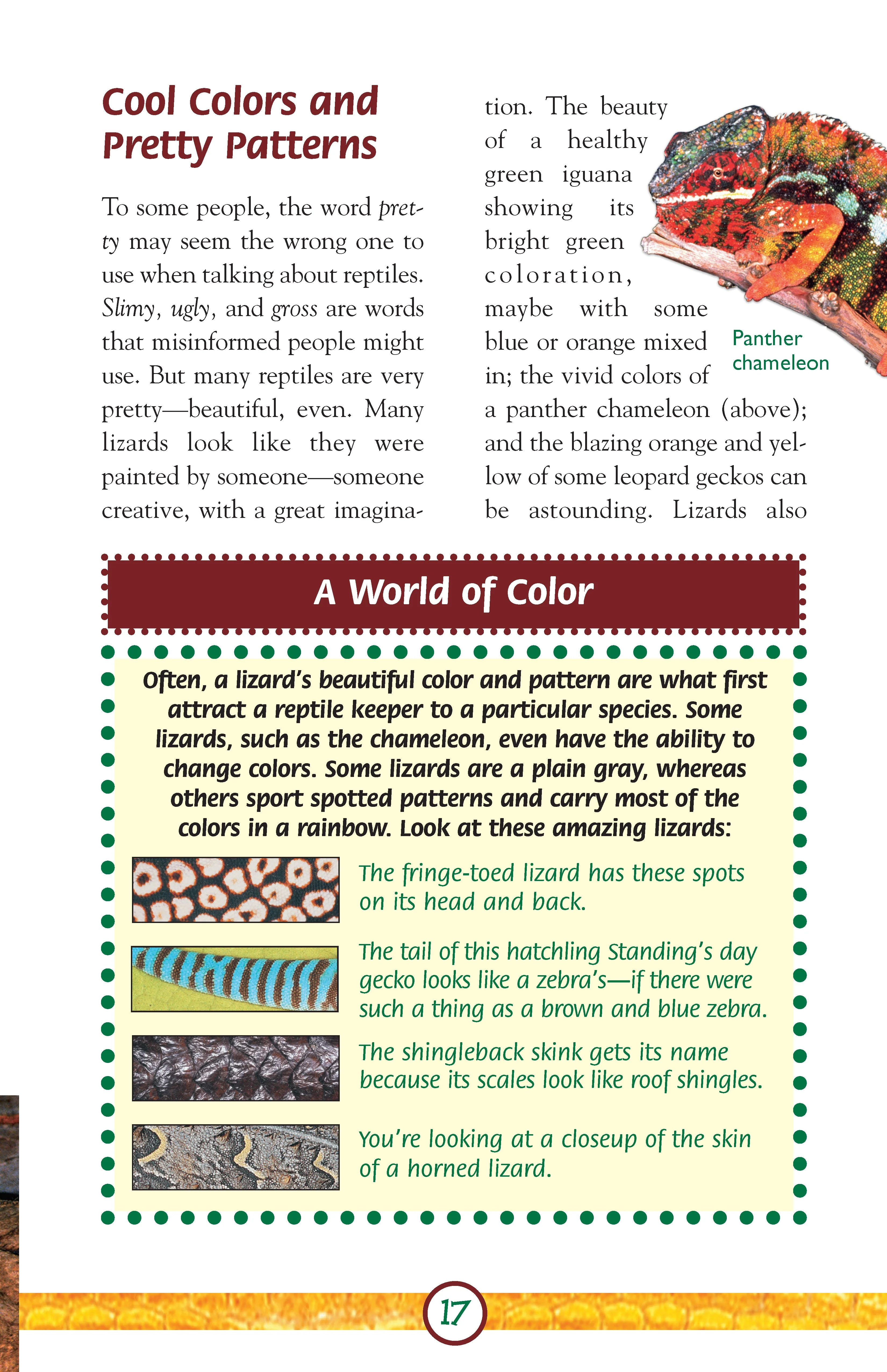 Lizards - Image 7