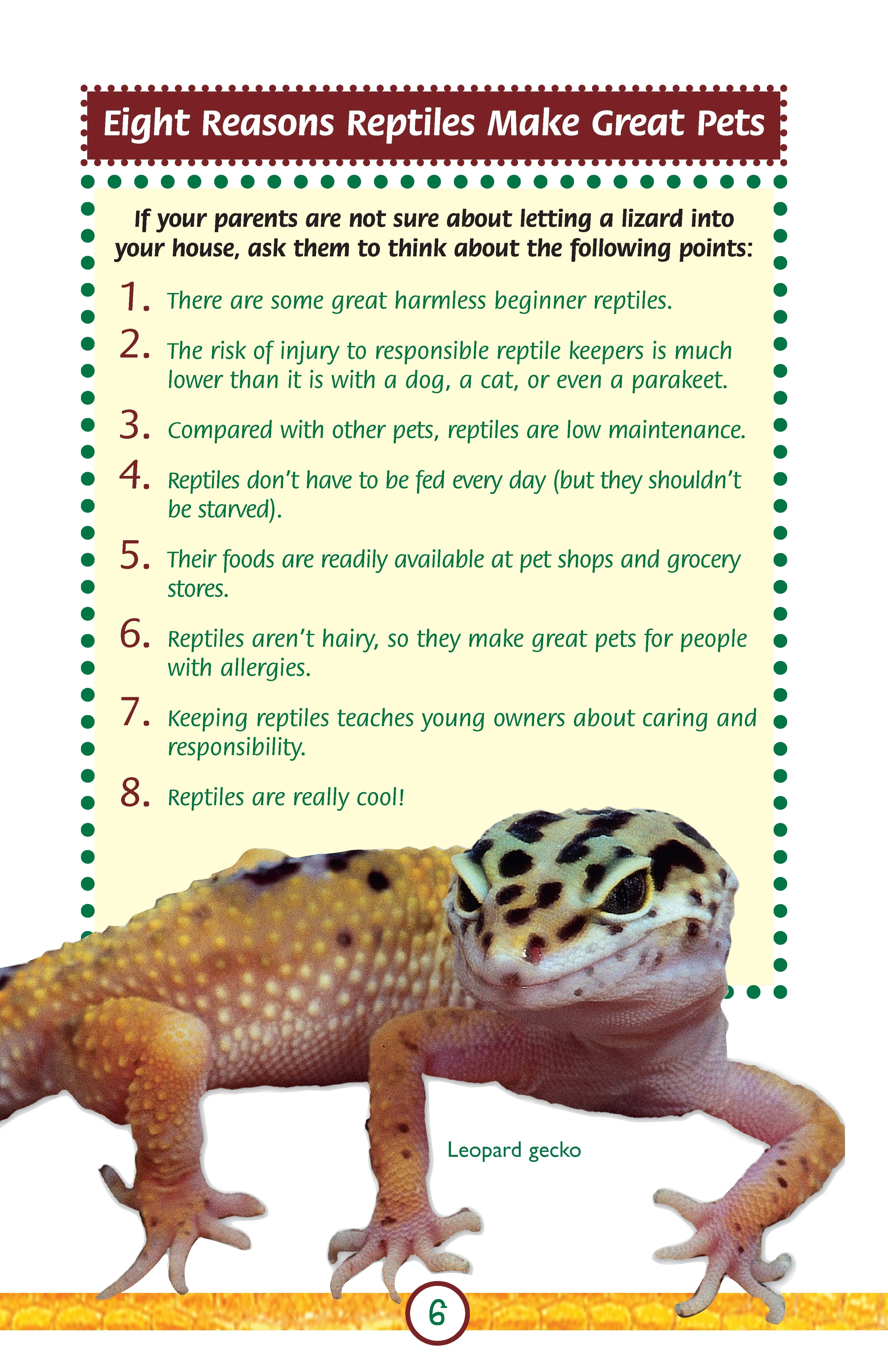 Lizards - Image 9