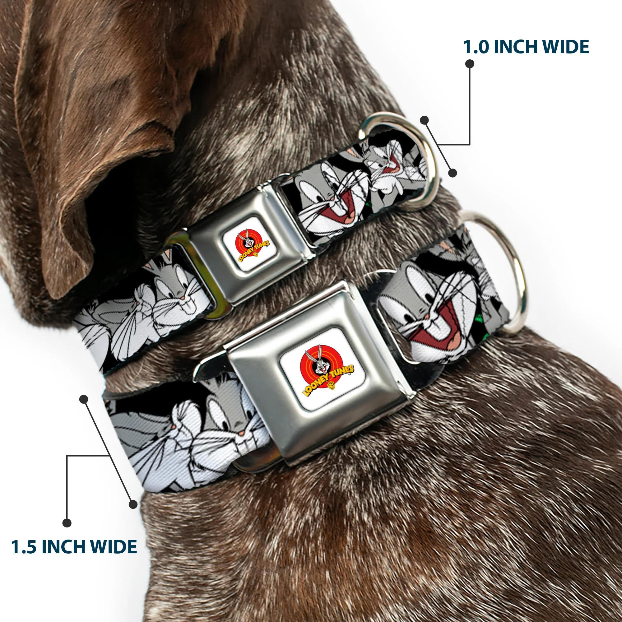 Looney Tunes Logo Full Color White Seatbelt Buckle Collar - Bugs Bunny CLOSE-UP Poses Black - Image 2