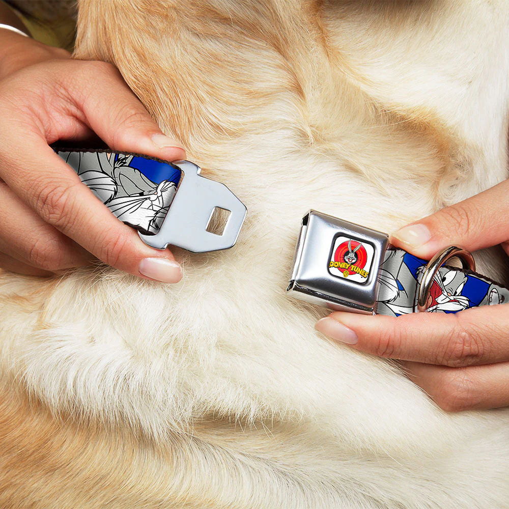 Looney Tunes Logo Full Color White Seatbelt Buckle Collar - Bugs Bunny CLOSE-UP Poses Blue - Image 8