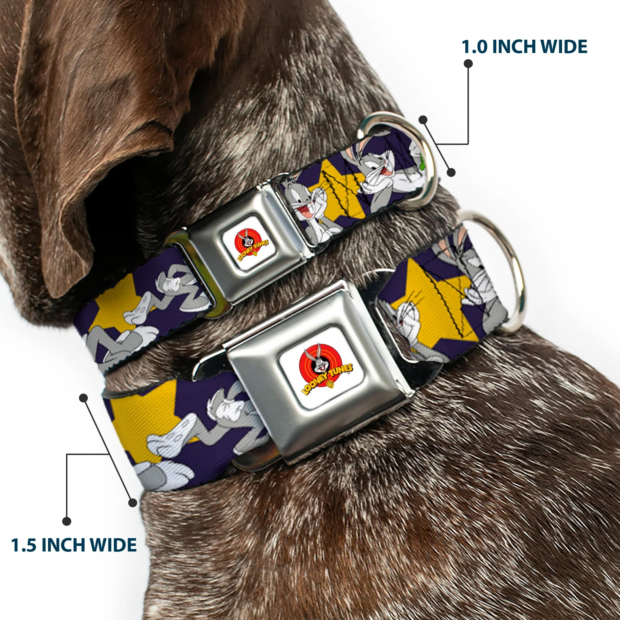 Looney Tunes Logo Full Color White Seatbelt Buckle Collar - Bugs Bunny Poses/Stars Navy - Image 2