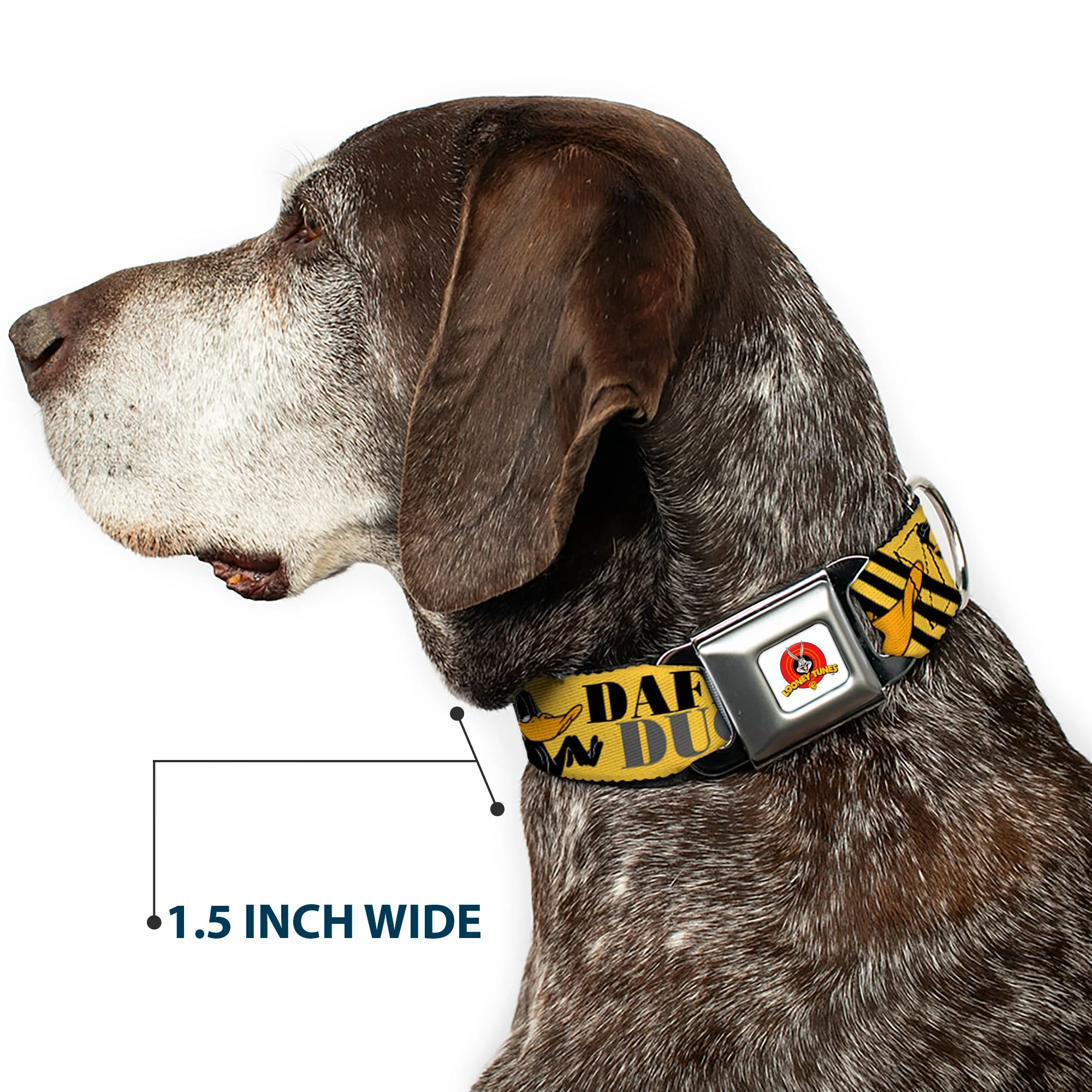 Looney Tunes Logo Full Color White Seatbelt Buckle Collar - DAFFY DUCK w/Poses Yellow/Black - Image 7