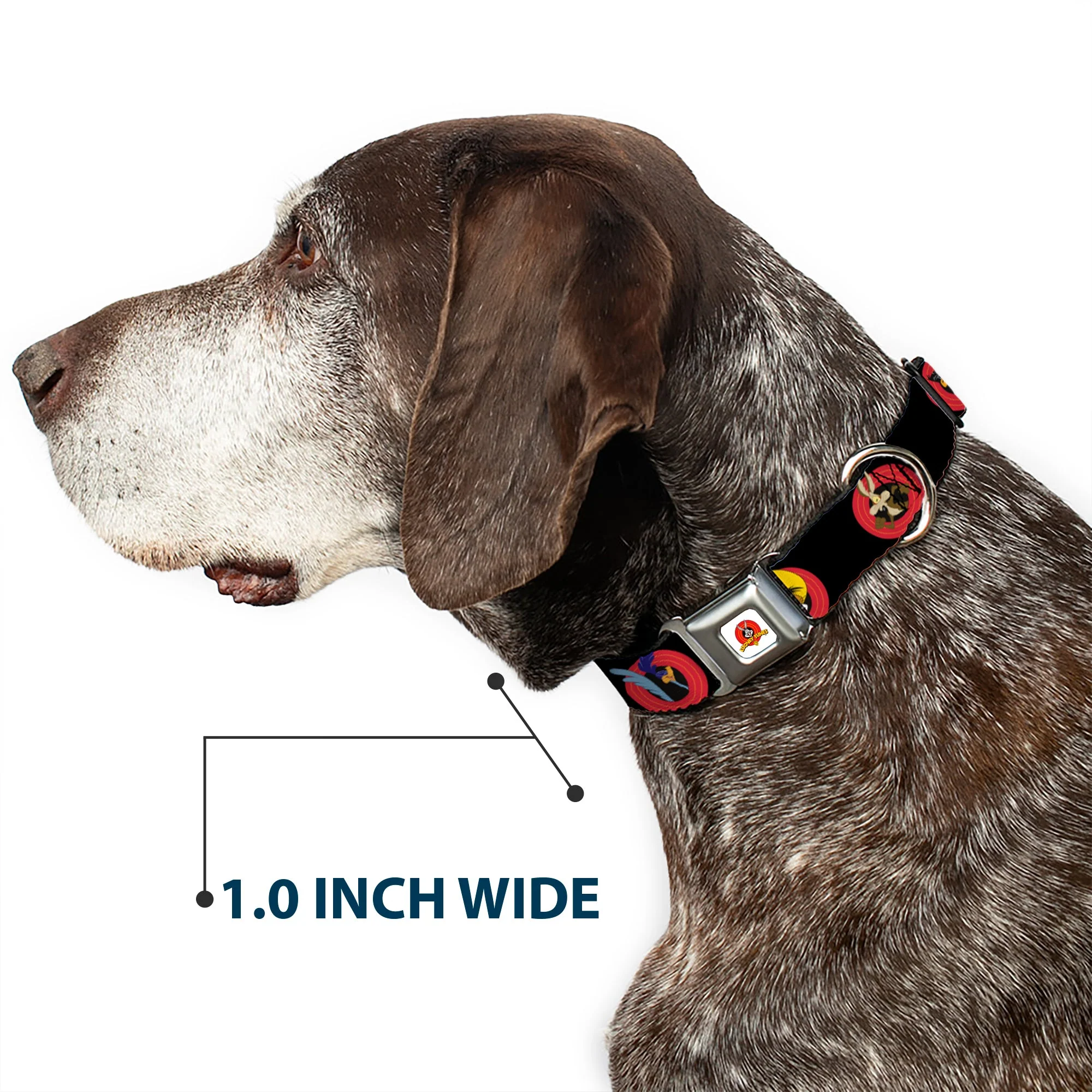 Looney Tunes Logo Full Color White Seatbelt Buckle Collar - Looney Tunes Characters Bullseye Pose Black - Image 6
