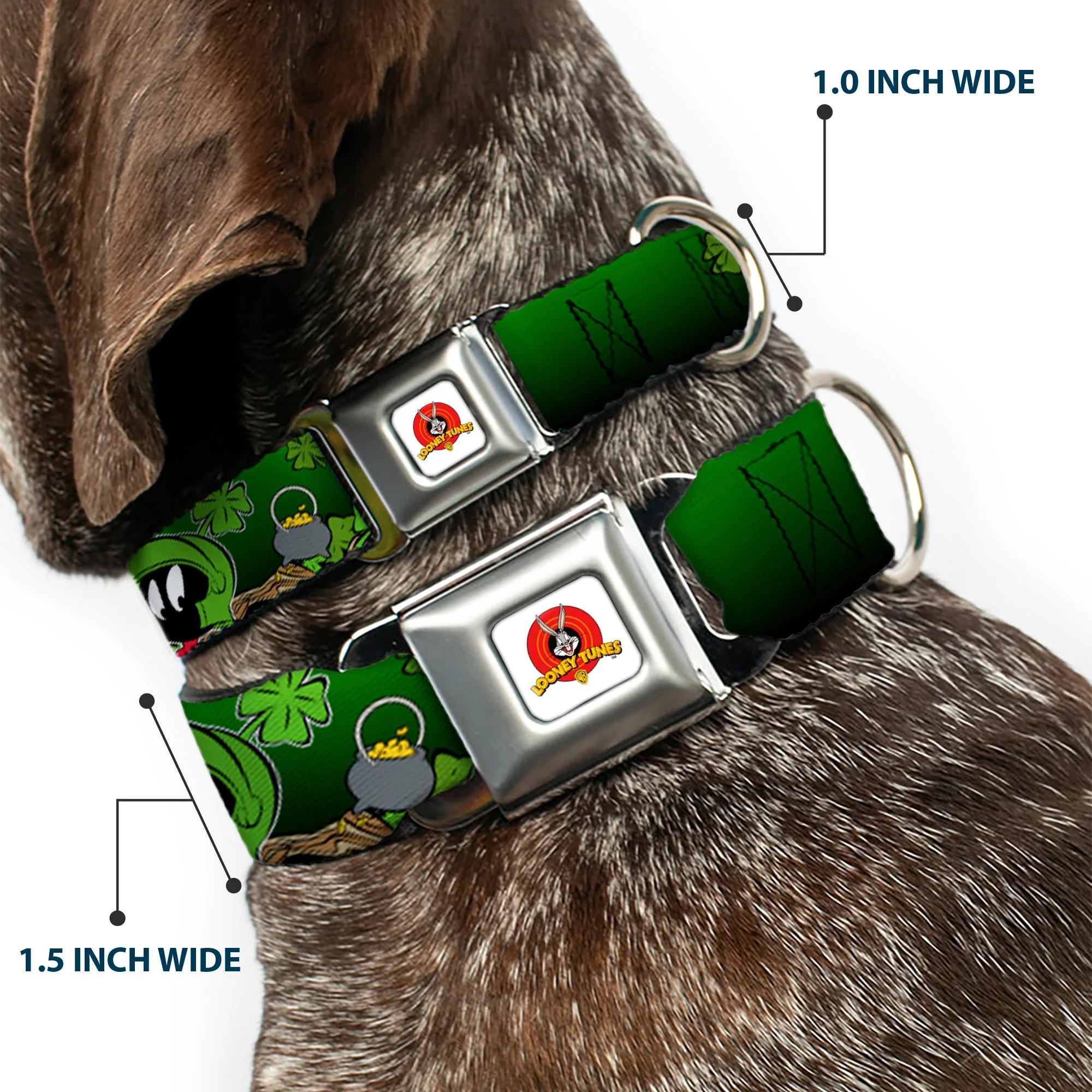 Looney Tunes Logo Full Color White Seatbelt Buckle Collar - Marvin the Martian & K-9 Poses/Clovers Greens - Image 2