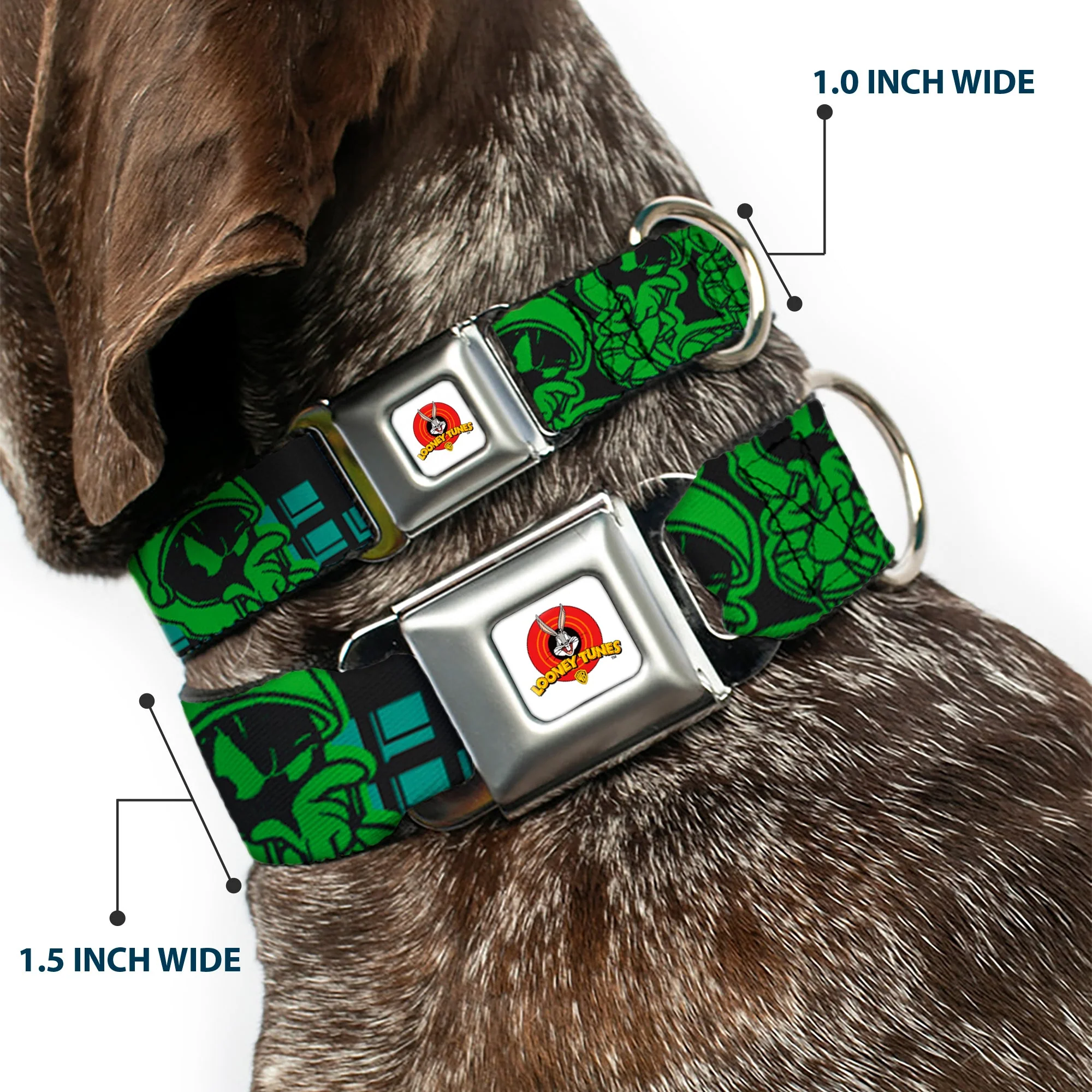 Looney Tunes Logo Full Color White Seatbelt Buckle Collar - MARVIN THE MARTIAN w/Poses Black/Turquoise - Image 2