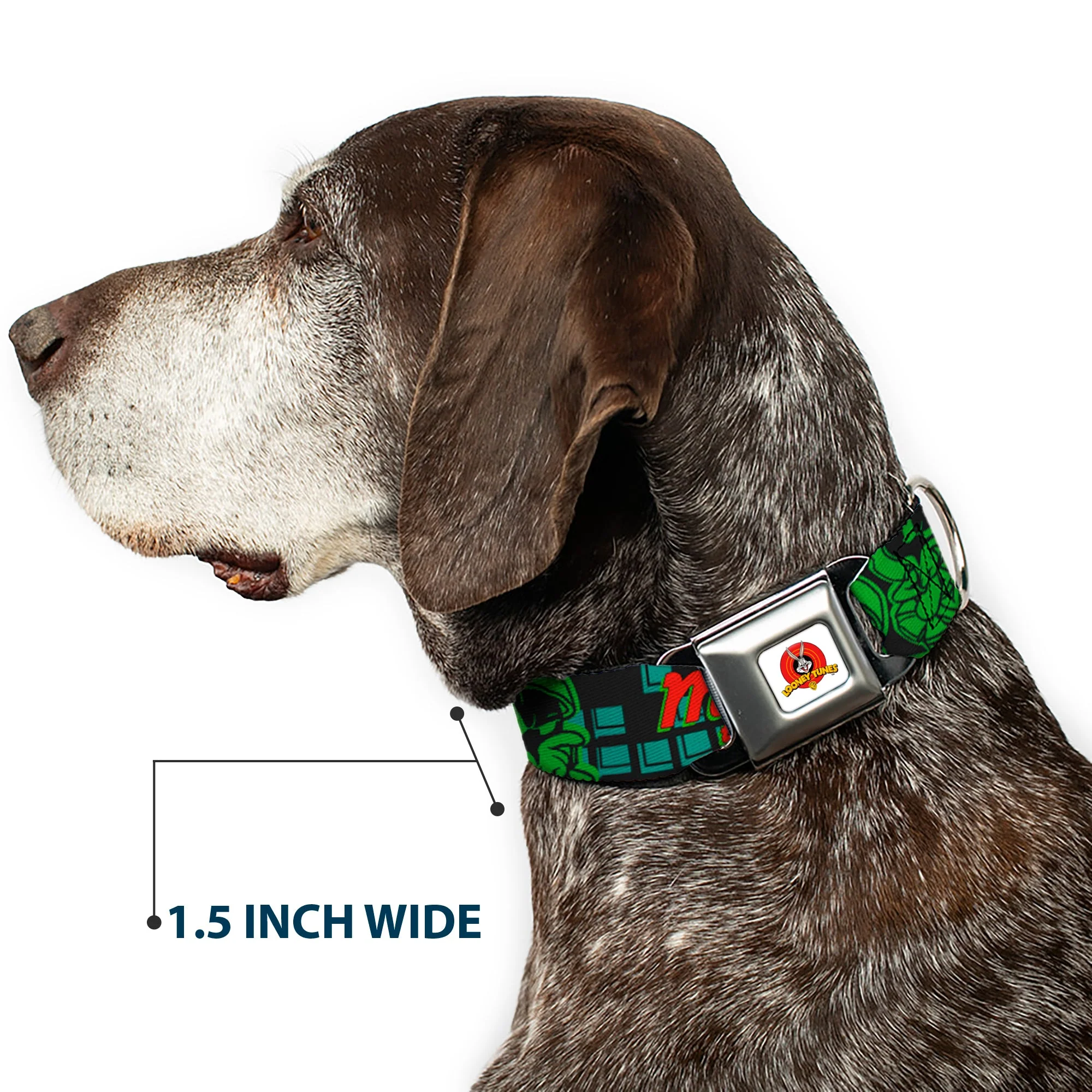 Looney Tunes Logo Full Color White Seatbelt Buckle Collar - MARVIN THE MARTIAN w/Poses Black/Turquoise - Image 7