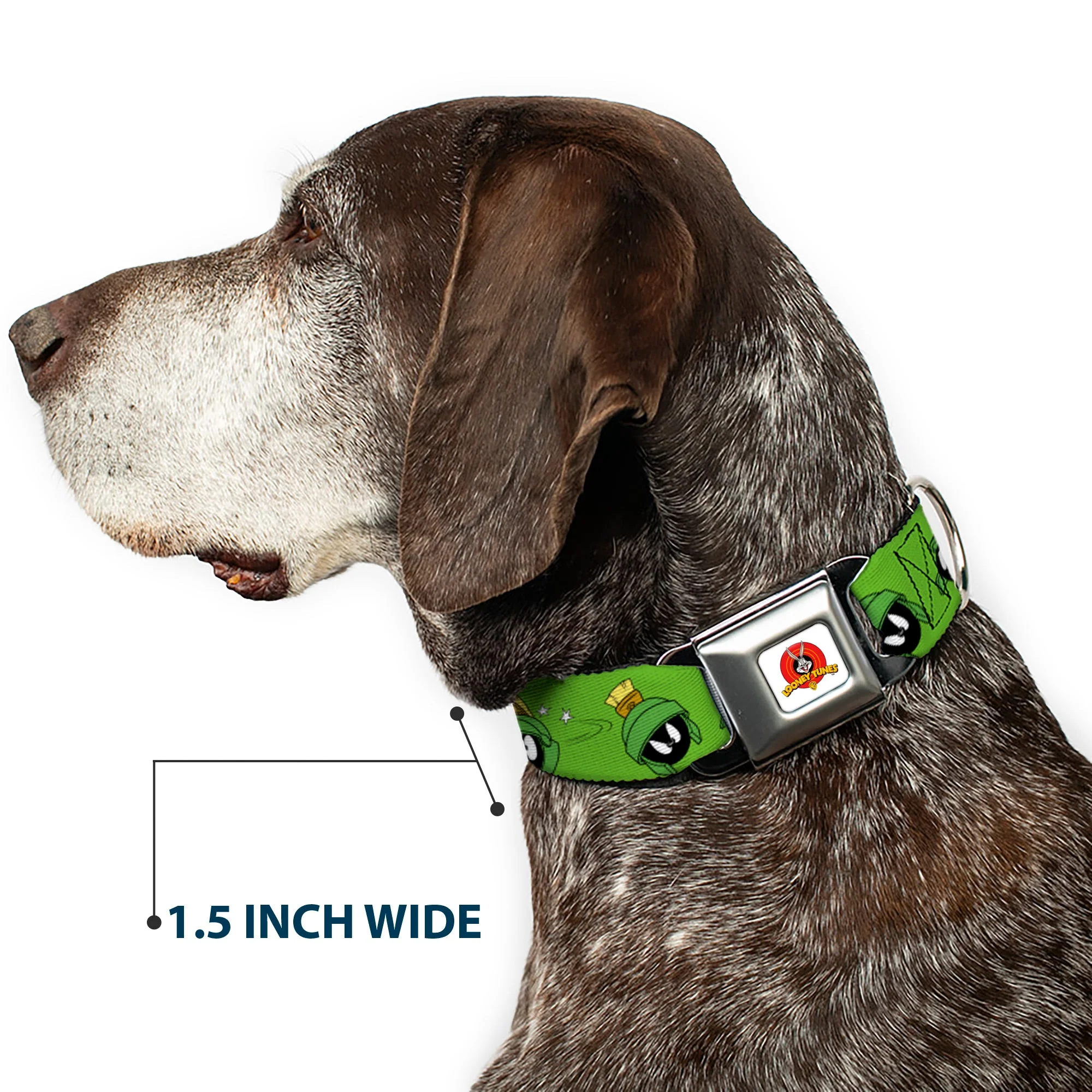 Looney Tunes Logo Full Color White Seatbelt Buckle Collar - MARVIN THE MARTIAN w/Poses/Expressions Green - Image 7