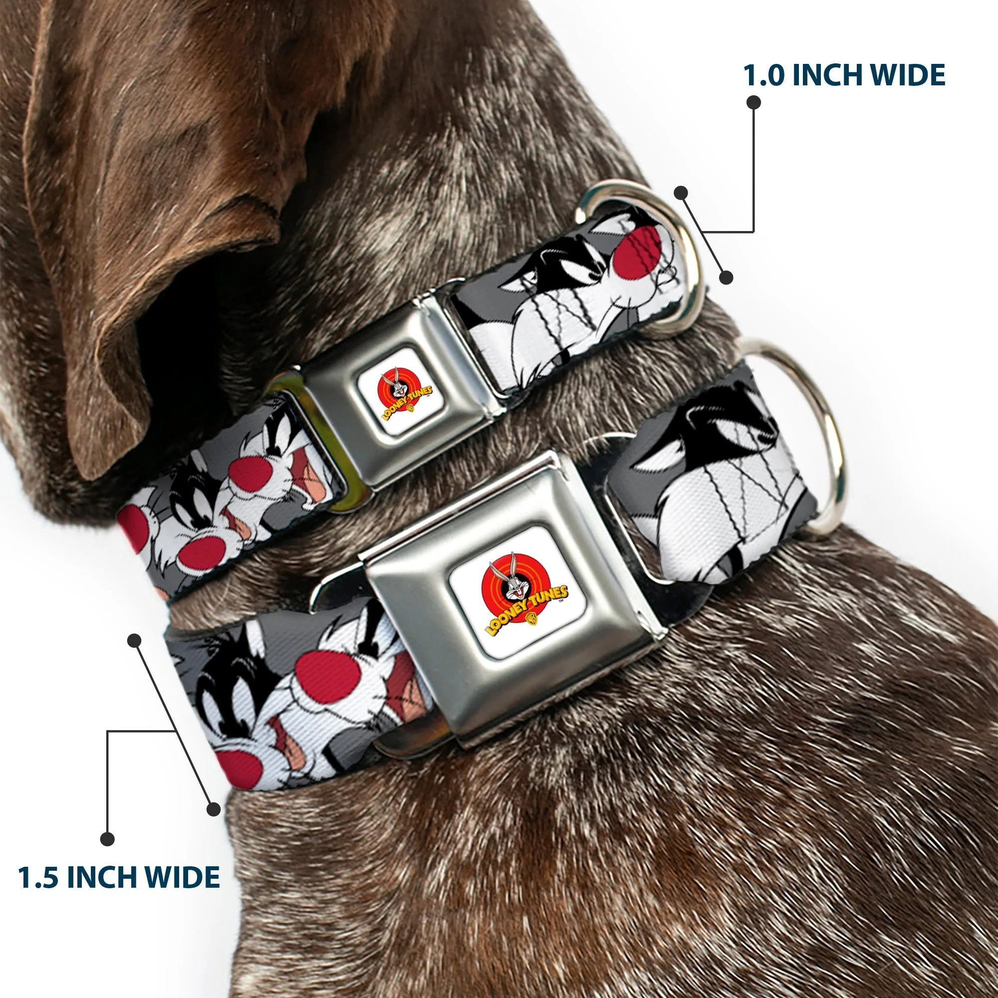 Looney Tunes Logo Full Color White Seatbelt Buckle Collar - Sylvester the Cat Expressions Gray - Image 2