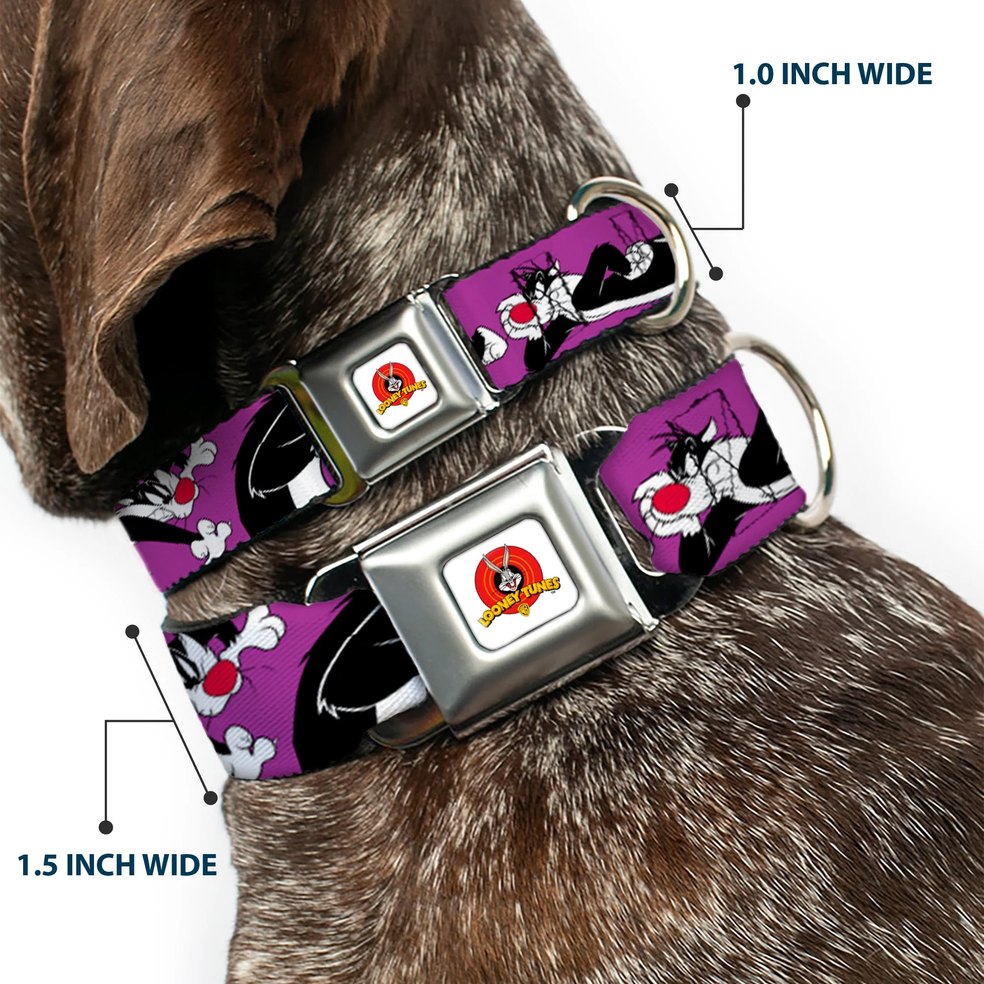 Looney Tunes Logo Full Color White Seatbelt Buckle Collar - Sylvester the Cat Poses Purple - Image 2