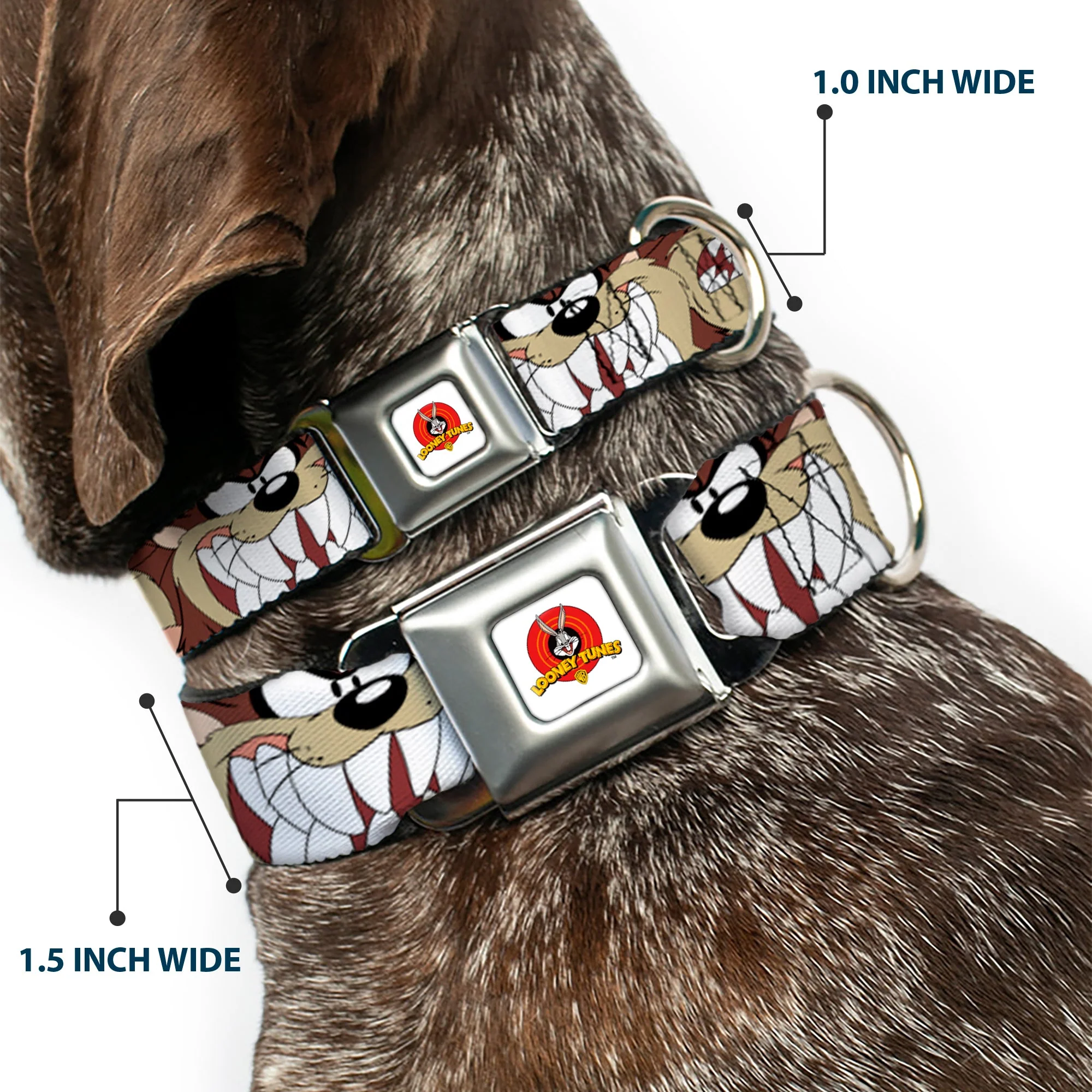 Looney Tunes Logo Full Color White Seatbelt Buckle Collar - Tasmanian Devil Expressions Brown - Image 2