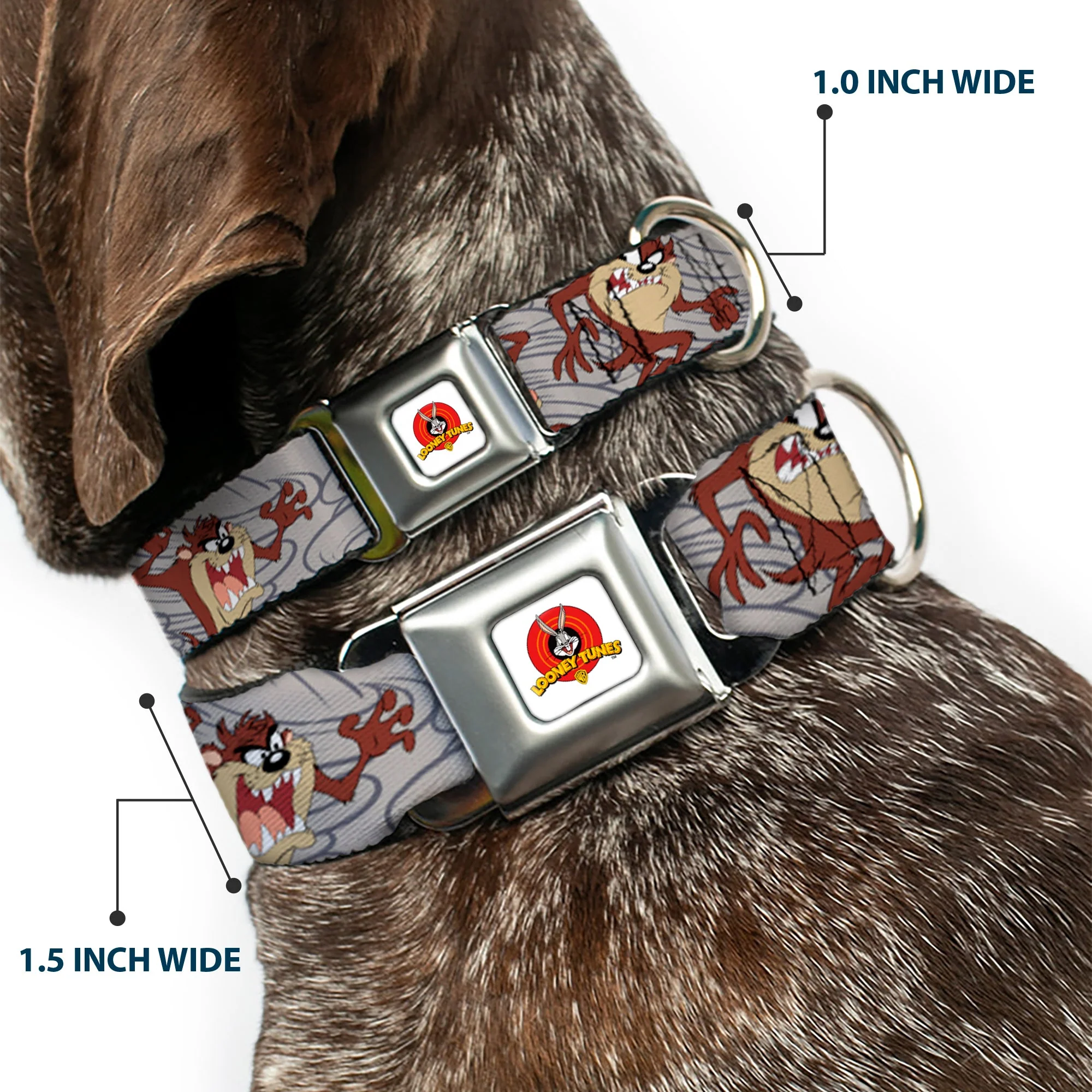 Looney Tunes Logo Full Color White Seatbelt Buckle Collar - Tasmanian Devil Expressions Gray Swirl - Image 2