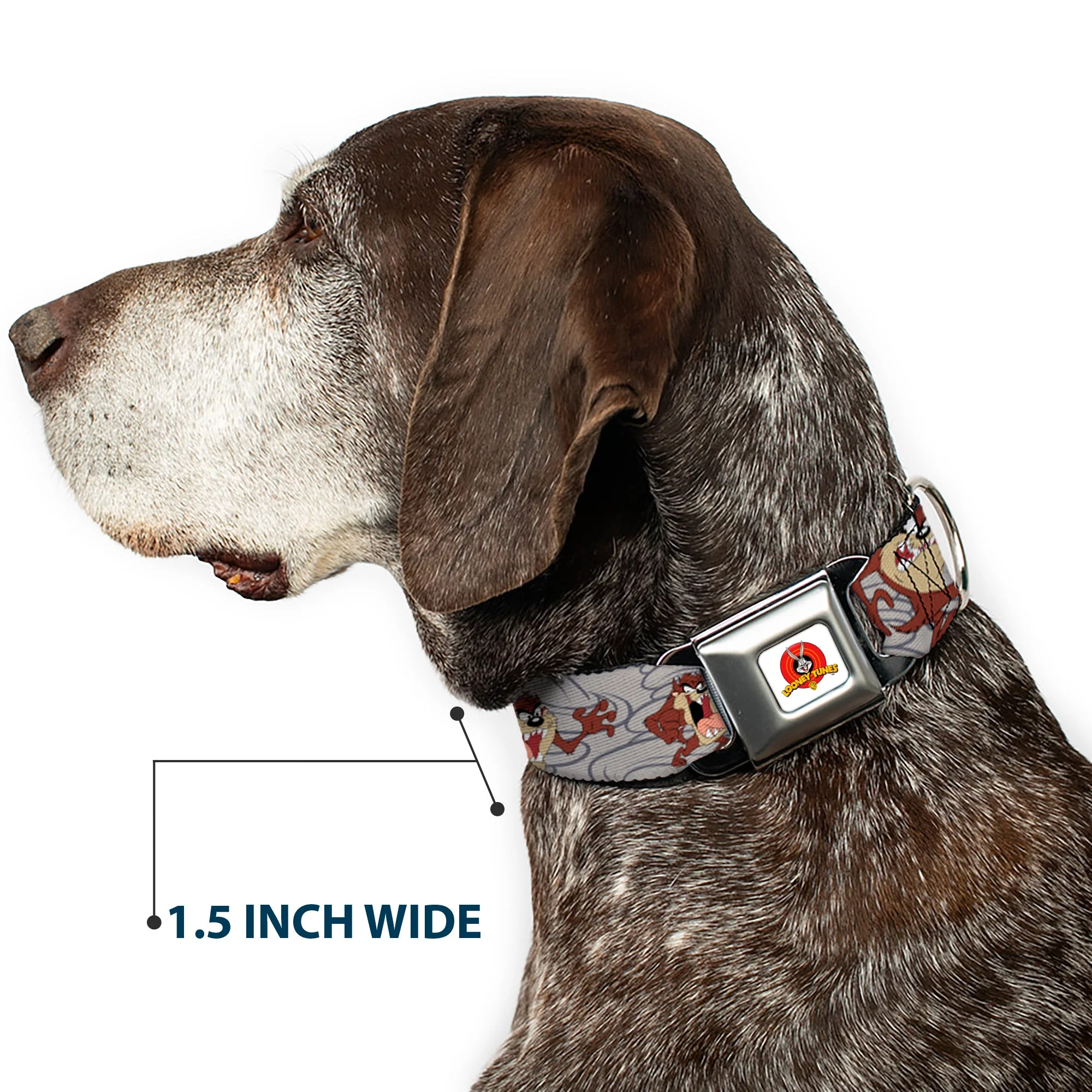 Looney Tunes Logo Full Color White Seatbelt Buckle Collar - Tasmanian Devil Expressions Gray Swirl - Image 7