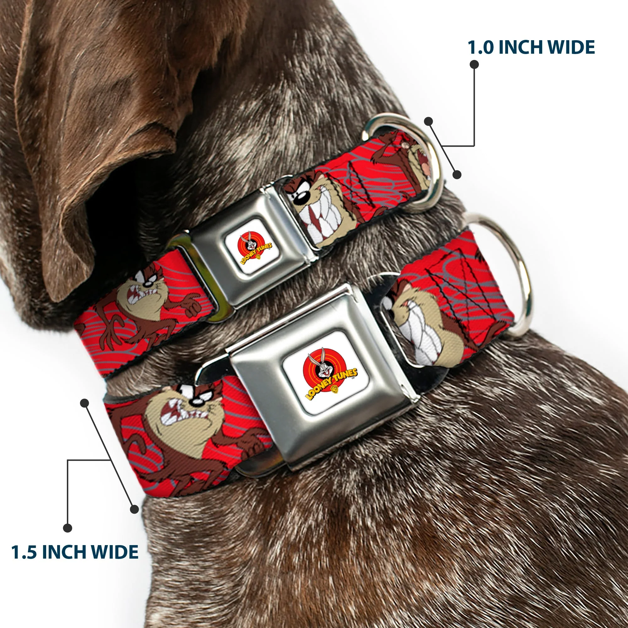 Looney Tunes Logo Full Color White Seatbelt Buckle Collar - Tasmanian Devil Expressions Red Swirl - Image 2