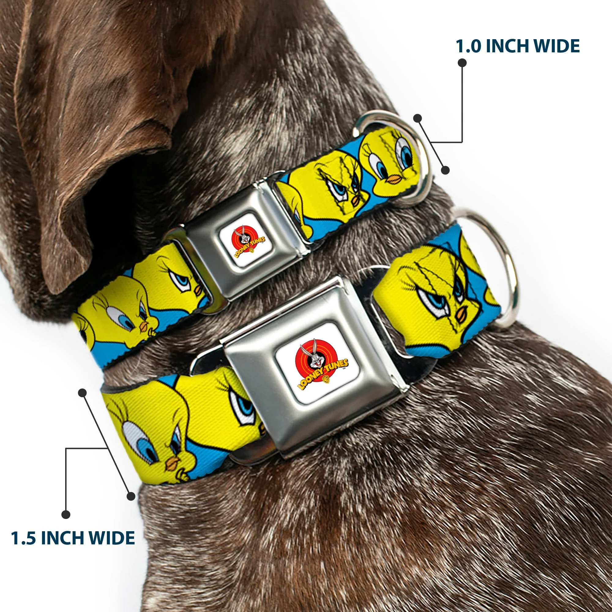 Looney Tunes Logo Full Color White Seatbelt Buckle Collar - Tweety Bird CLOSE-UP Expressions Baby Blue - Image 2