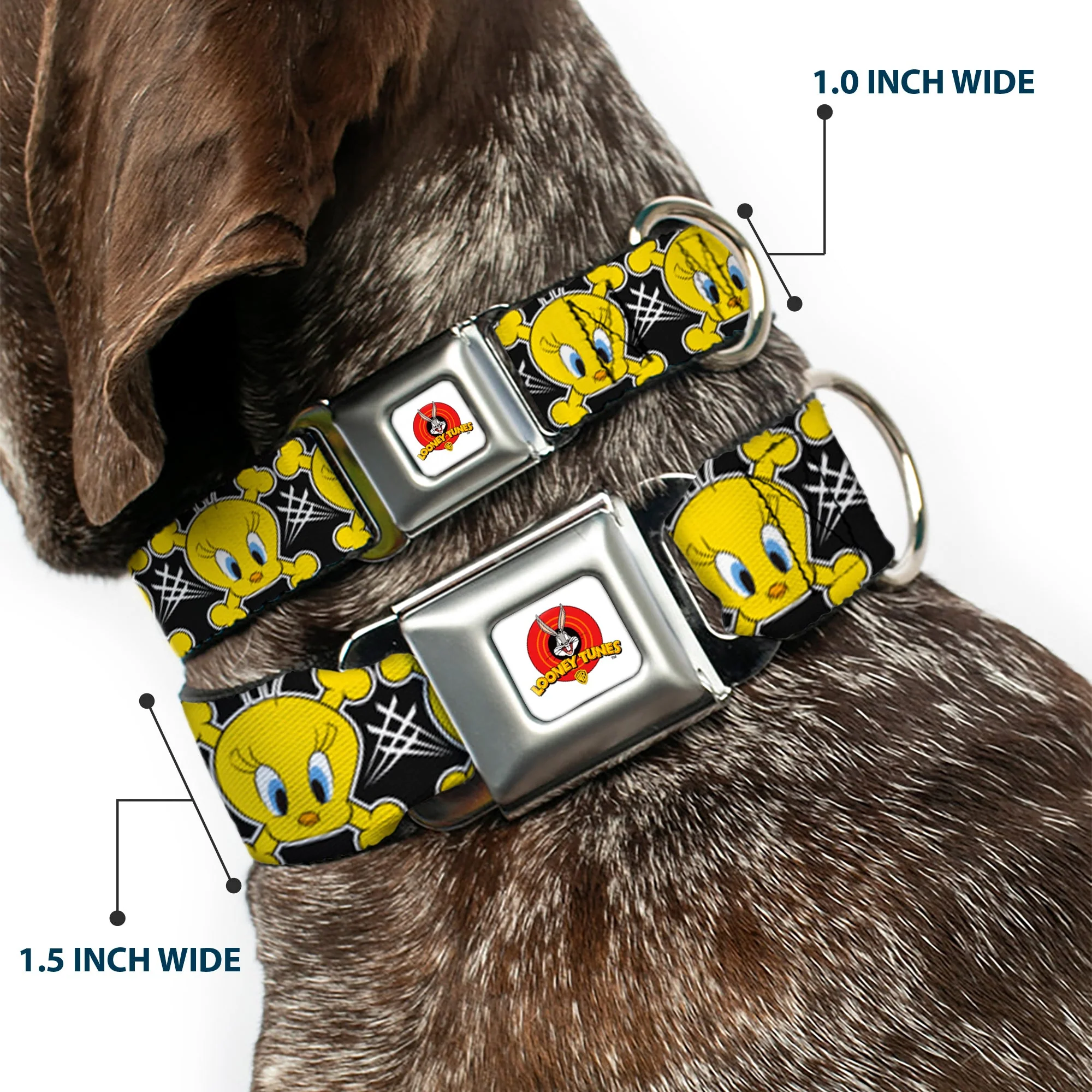 Looney Tunes Logo Full Color White Seatbelt Buckle Collar - Tweety Bird & Crossbones Black/White/Yellow - Image 2