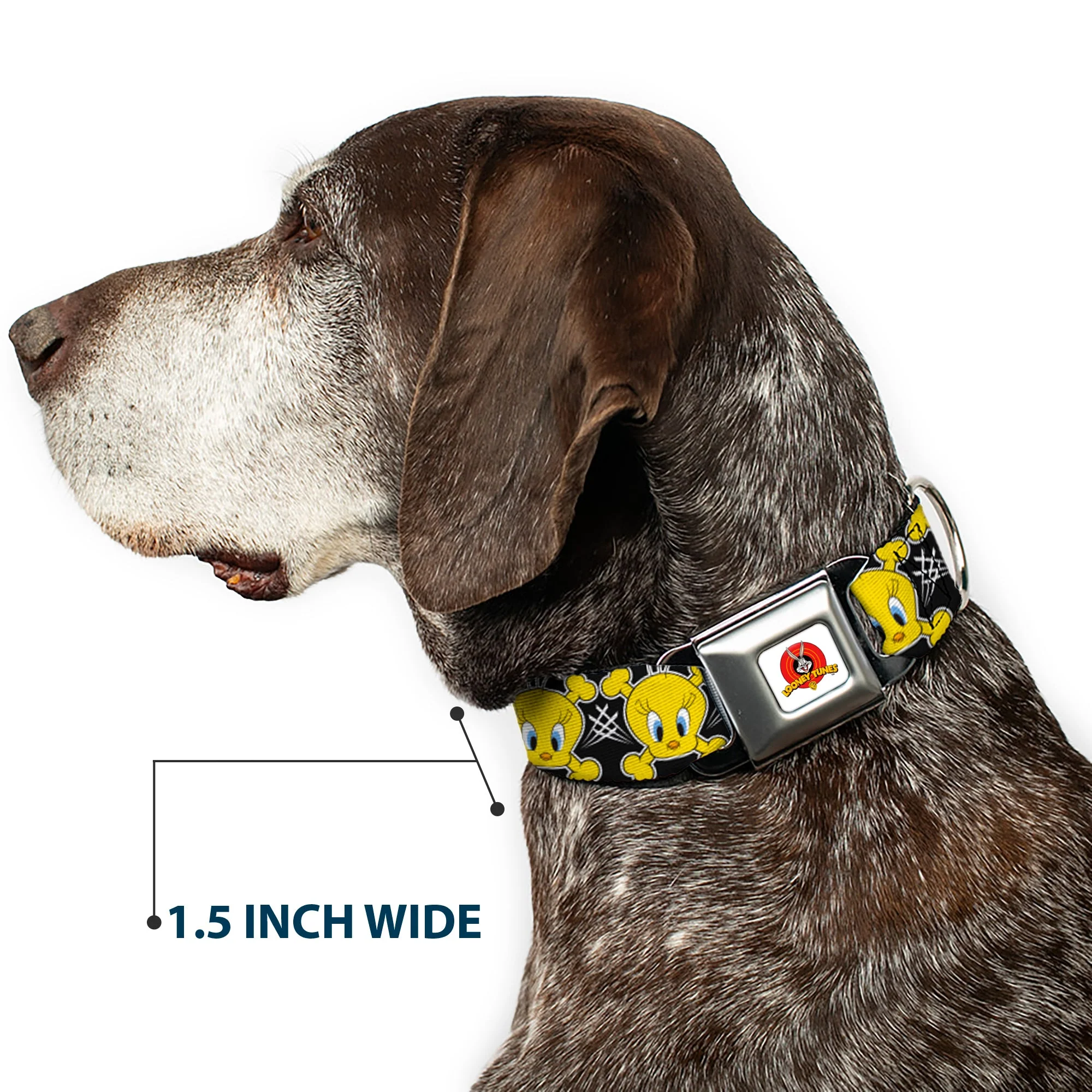 Looney Tunes Logo Full Color White Seatbelt Buckle Collar - Tweety Bird & Crossbones Black/White/Yellow - Image 7