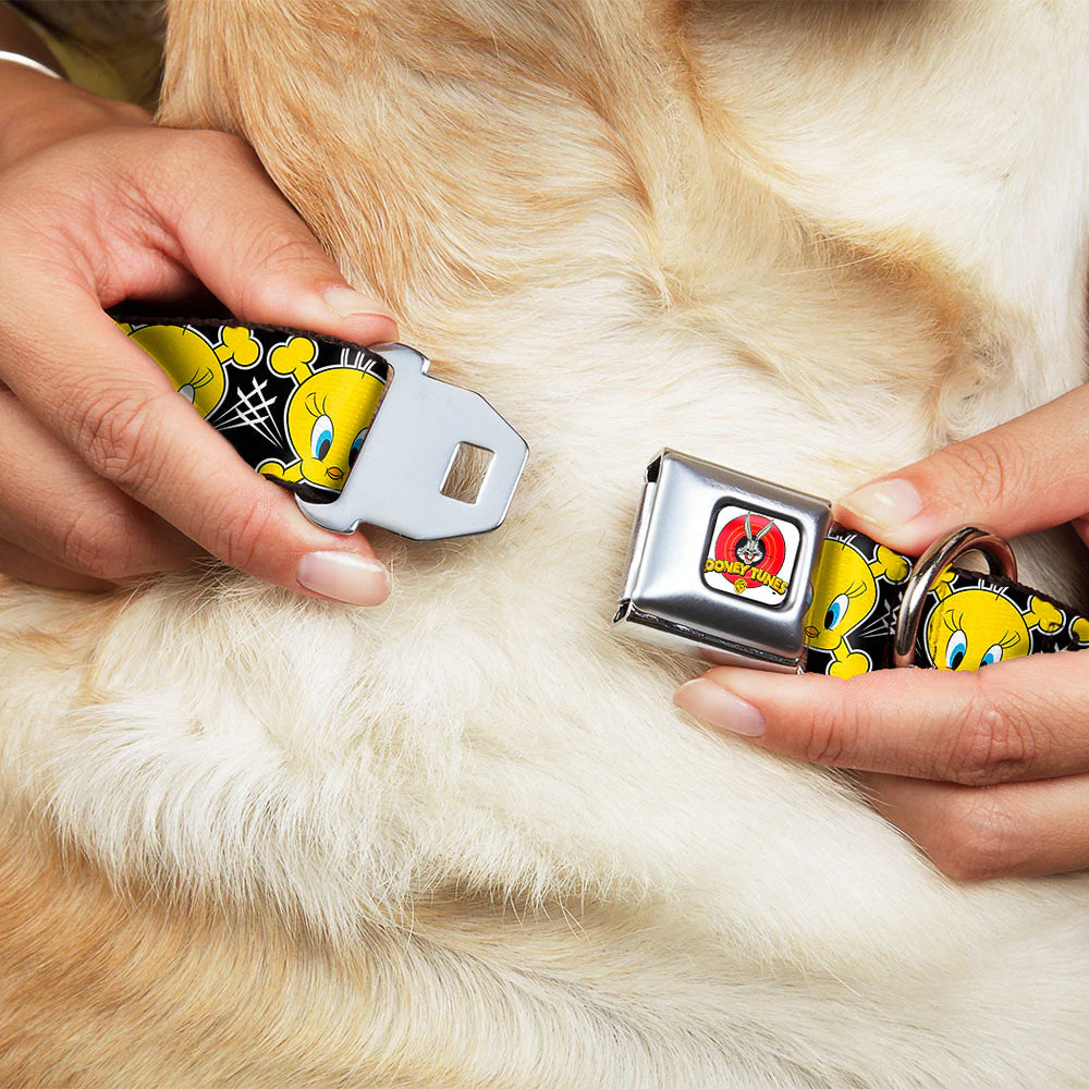Looney Tunes Logo Full Color White Seatbelt Buckle Collar - Tweety Bird & Crossbones Black/White/Yellow - Image 8