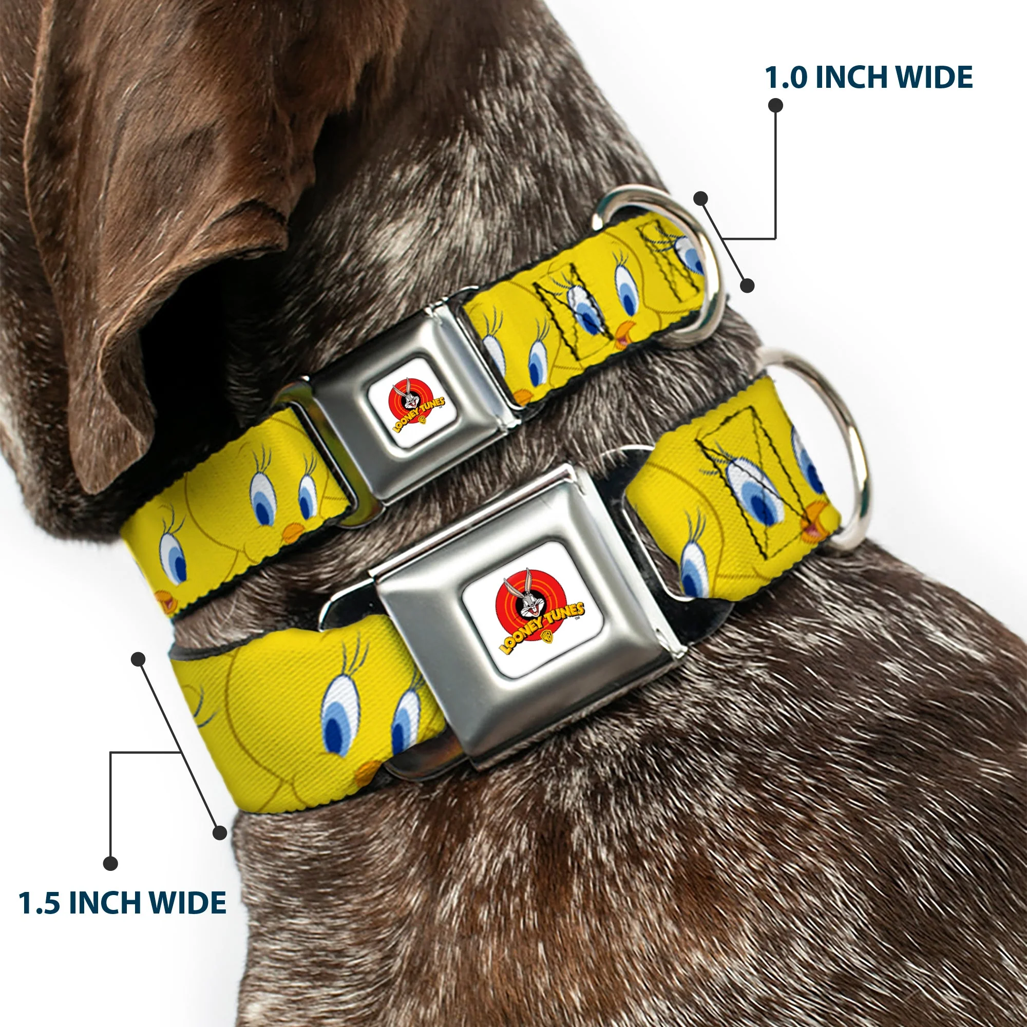 Looney Tunes Logo Full Color White Seatbelt Buckle Collar - Tweety Bird Expressions Yellow - Image 2