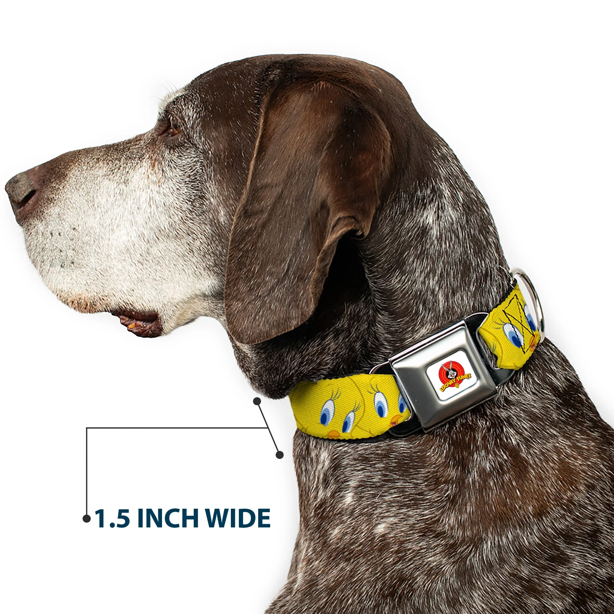 Looney Tunes Logo Full Color White Seatbelt Buckle Collar - Tweety Bird Expressions Yellow - Image 7