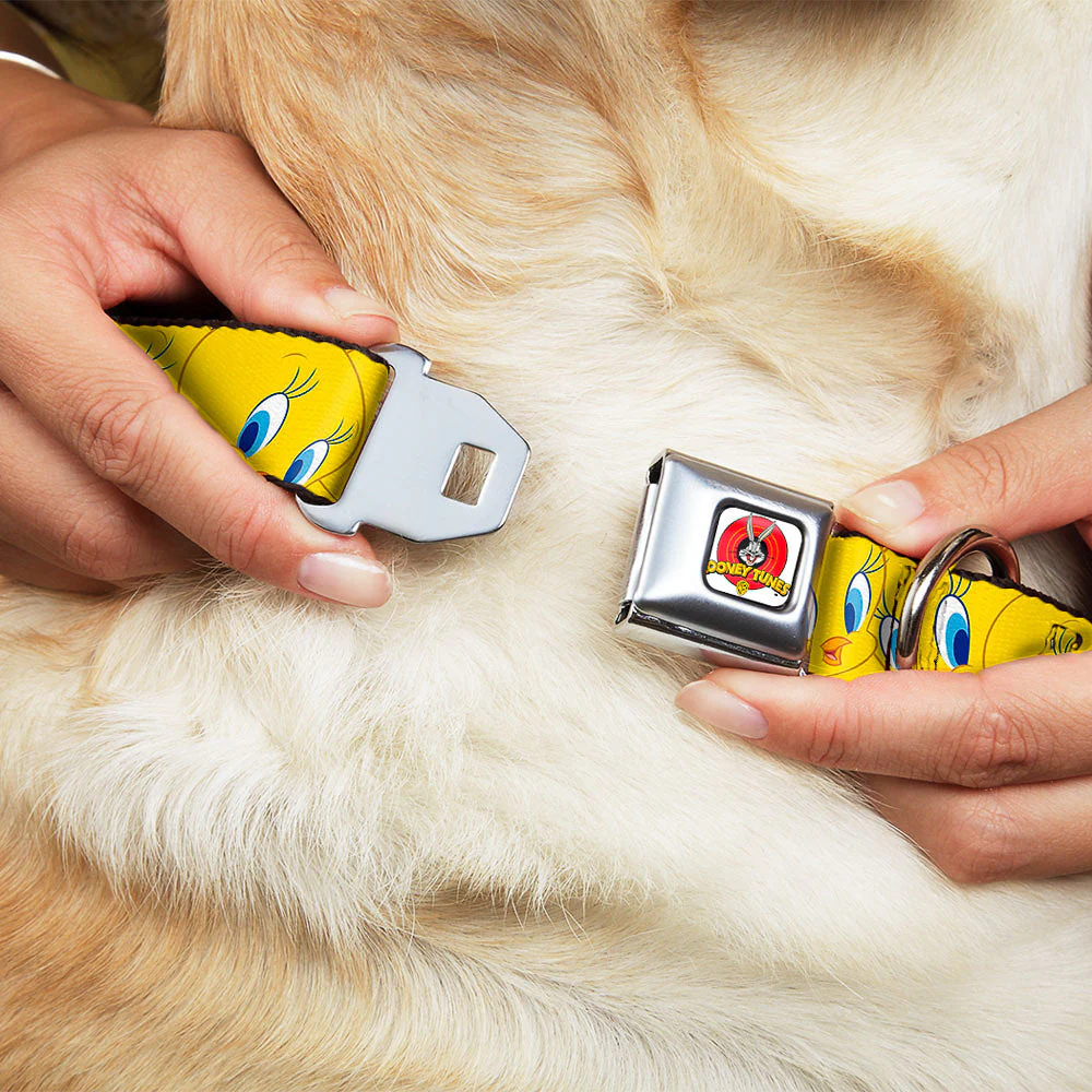 Looney Tunes Logo Full Color White Seatbelt Buckle Collar - Tweety Bird Expressions Yellow - Image 8