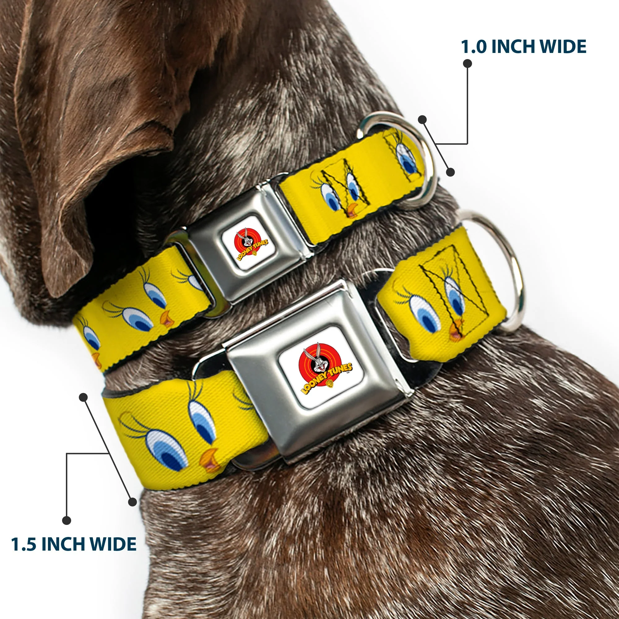 Looney Tunes Logo Full Color White Seatbelt Buckle Collar - Tweety Bird Expressions2 - Image 2