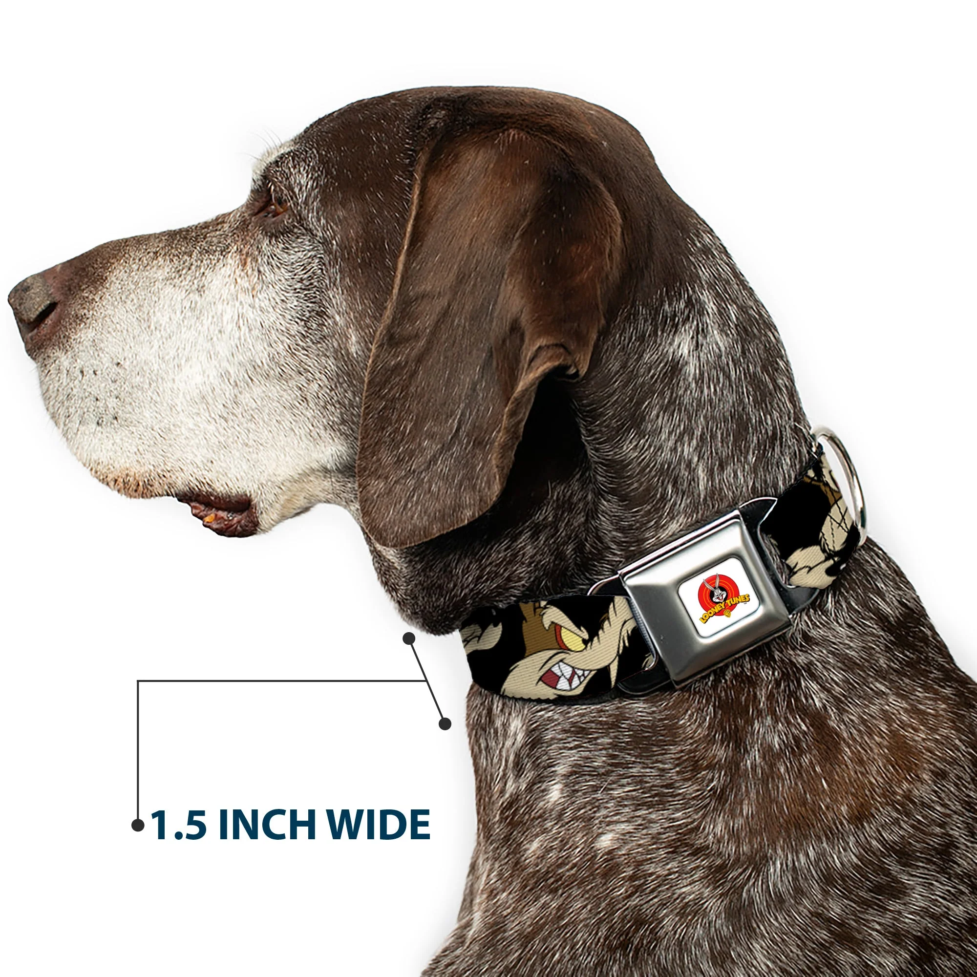 Looney Tunes Logo Full Color White Seatbelt Buckle Collar - Wile E. Coyote Expressions Black - Image 7