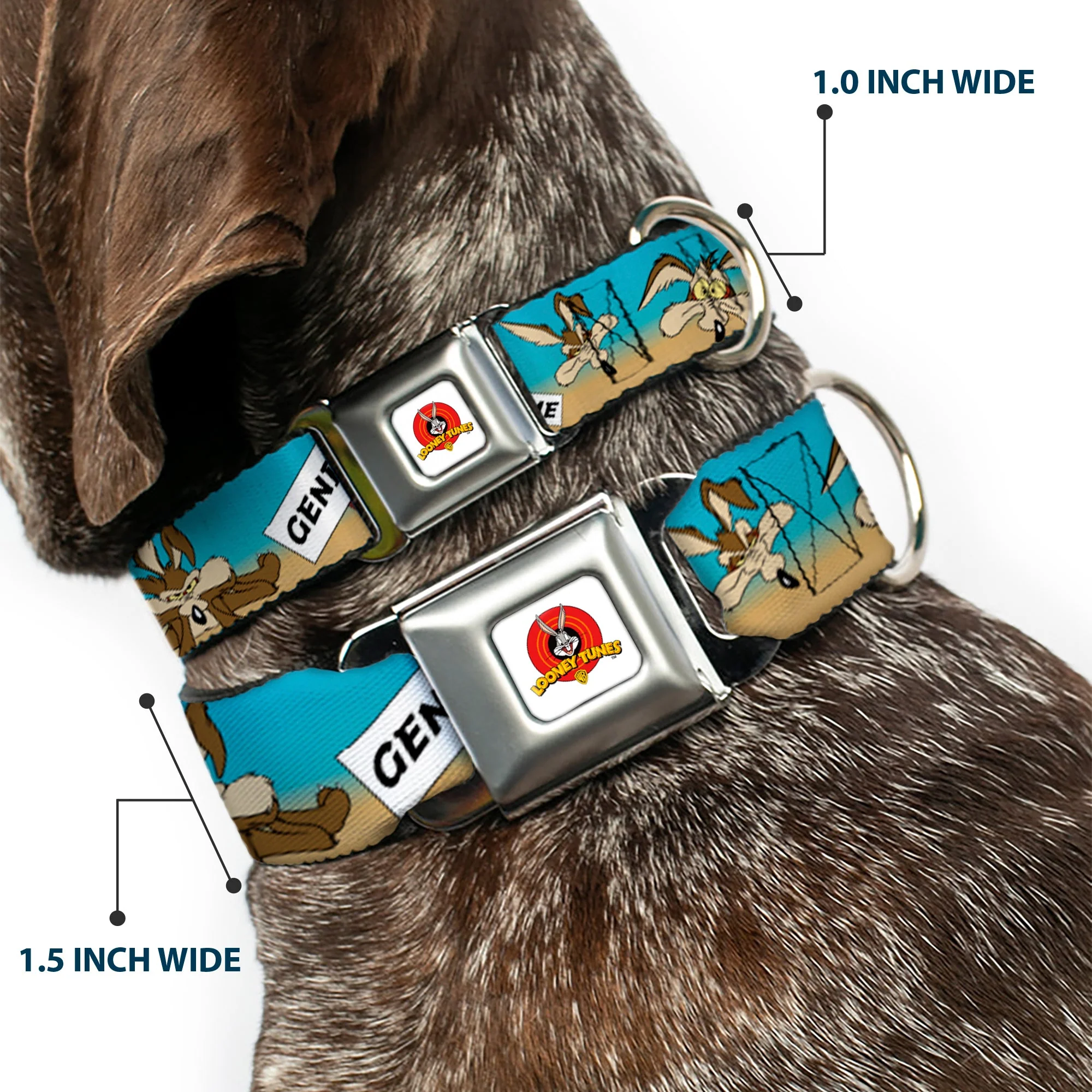 Looney Tunes Logo Full Color White Seatbelt Buckle Collar - WILE E. COYOTE Expressions/Signs Desert - Image 2