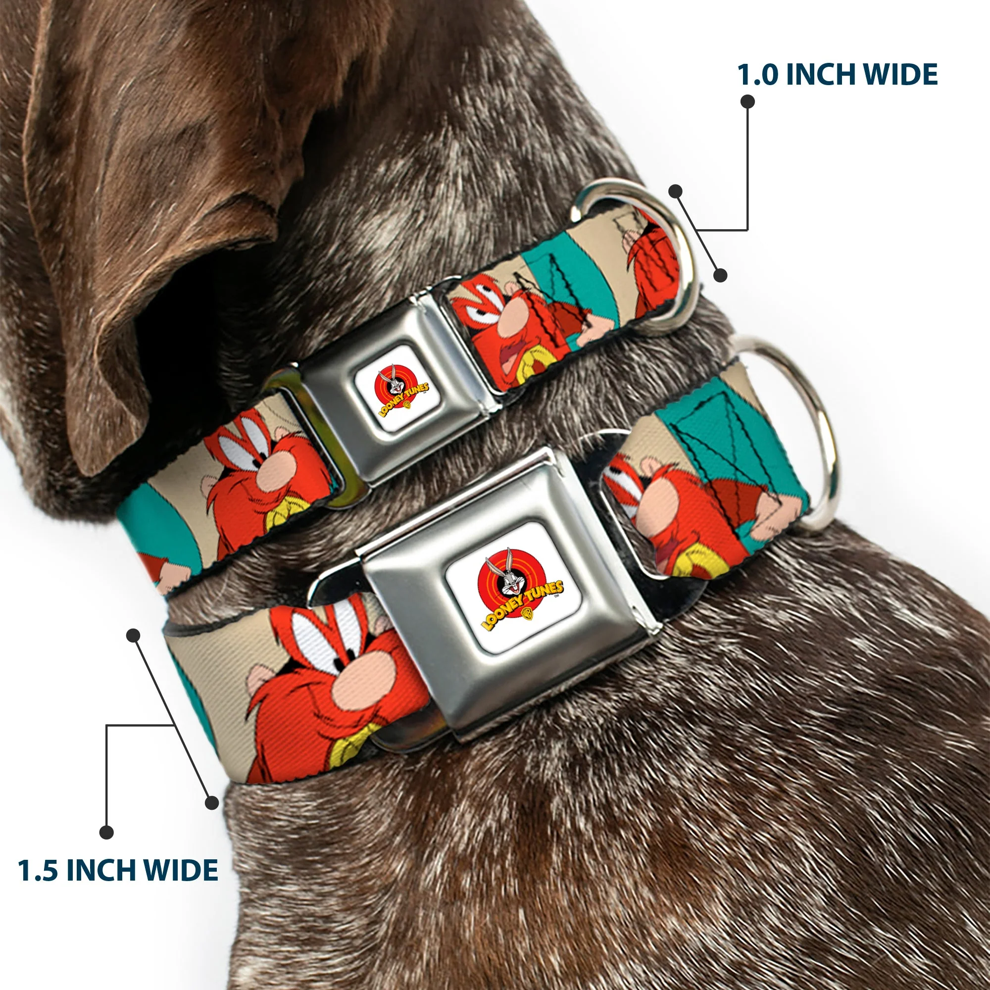 Looney Tunes Logo Full Color White Seatbelt Buckle Collar - Yosemite Sam Poses Turquoise - Image 2