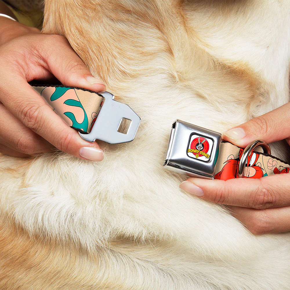 Looney Tunes Logo Full Color White Seatbelt Buckle Collar - Yosemite Sam Poses Turquoise - Image 8