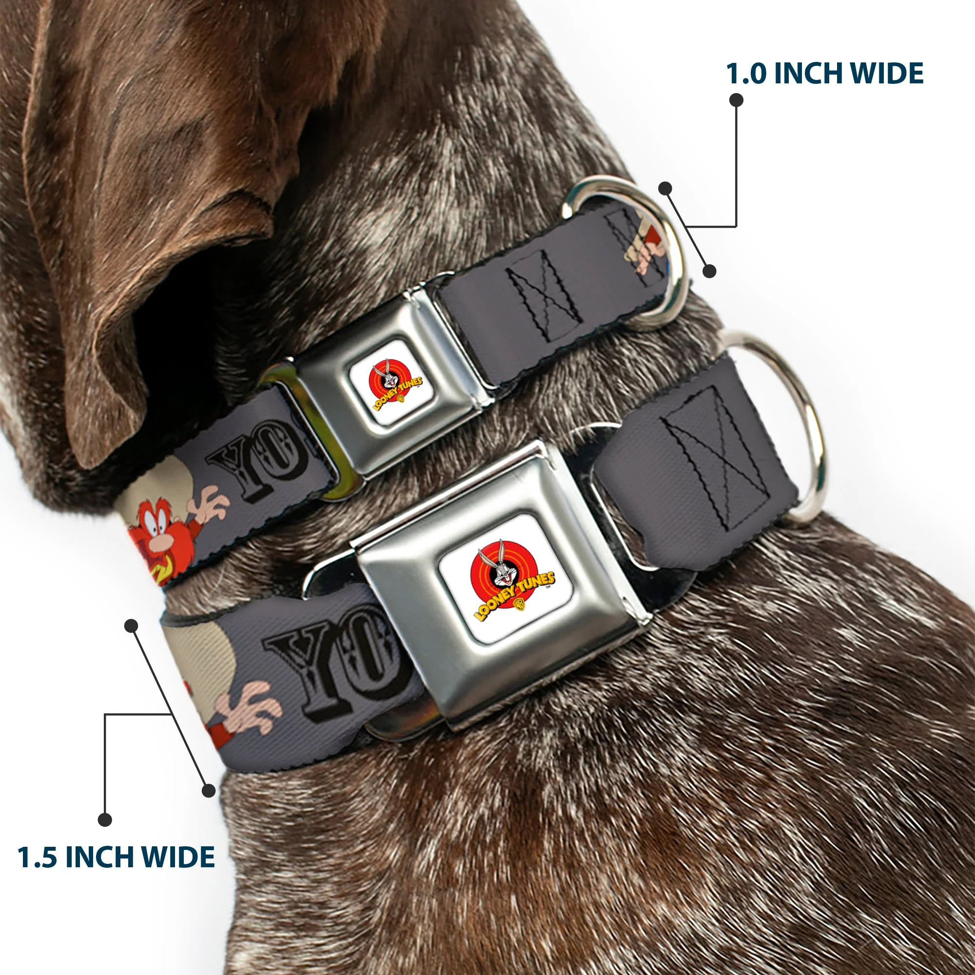 Looney Tunes Logo Full Color White Seatbelt Buckle Collar - YOSEMITE SAM w/Poses Gray - Image 2