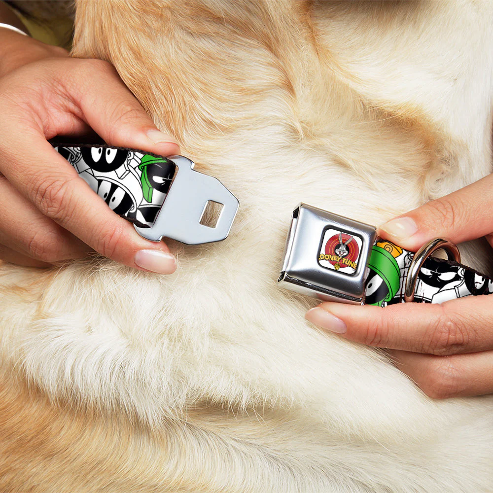 Looney Tunes Logo White Seatbelt Buckle Collar - Marvin the Martian Expressions Stacked White/Black/Green/Gold - Image 8