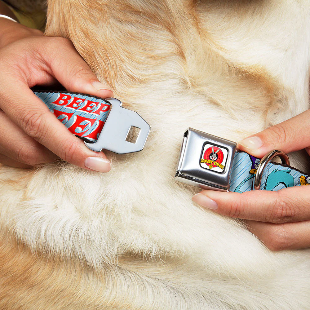 Looney Tunes Logo White Seatbelt Buckle Collar - MEEP MEEP!! w/Road Runner Poses Baby Blue - Image 8