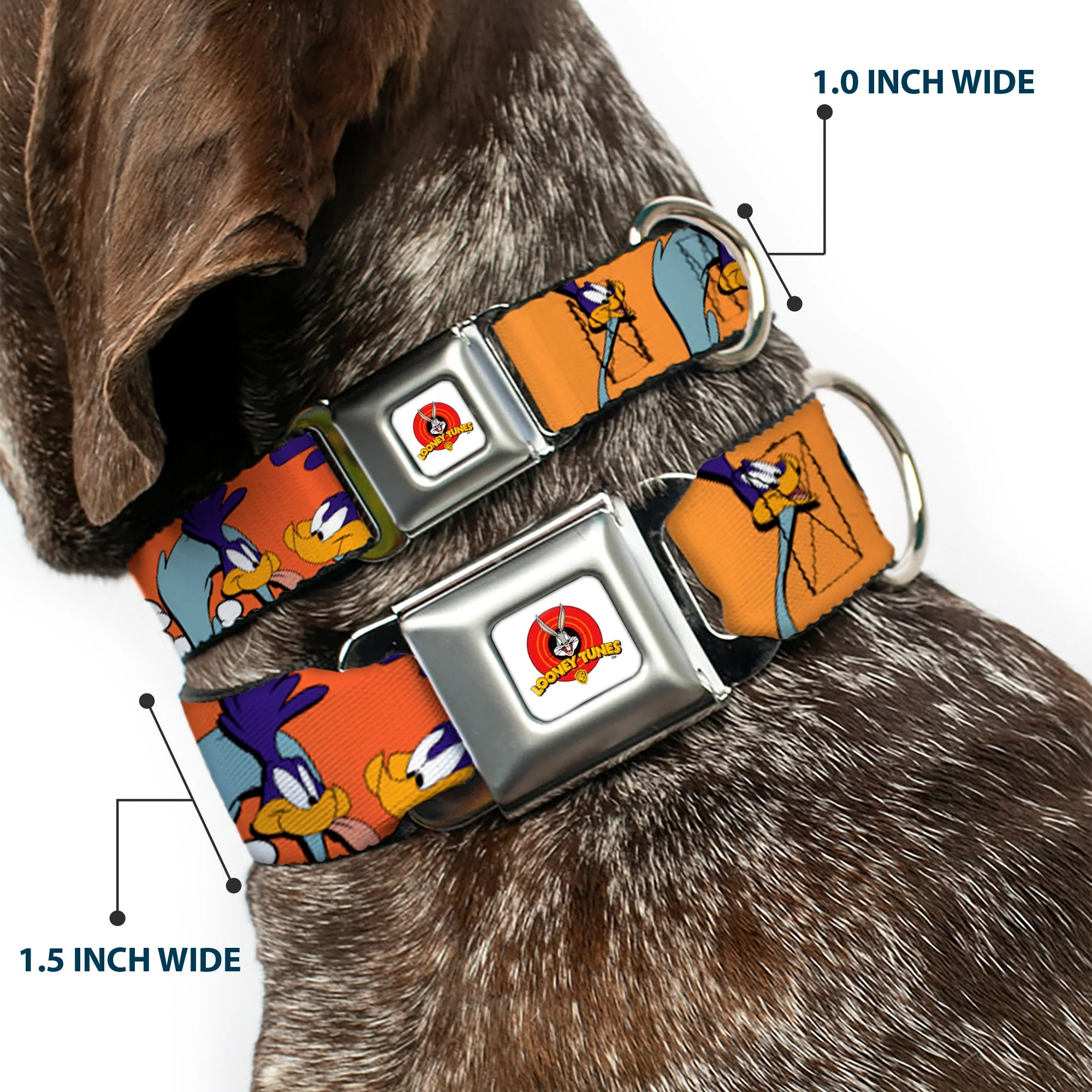 Looney Tunes Logo White Seatbelt Buckle Collar - ROAD RUNNER w/Road Runner Poses Orange - Image 2