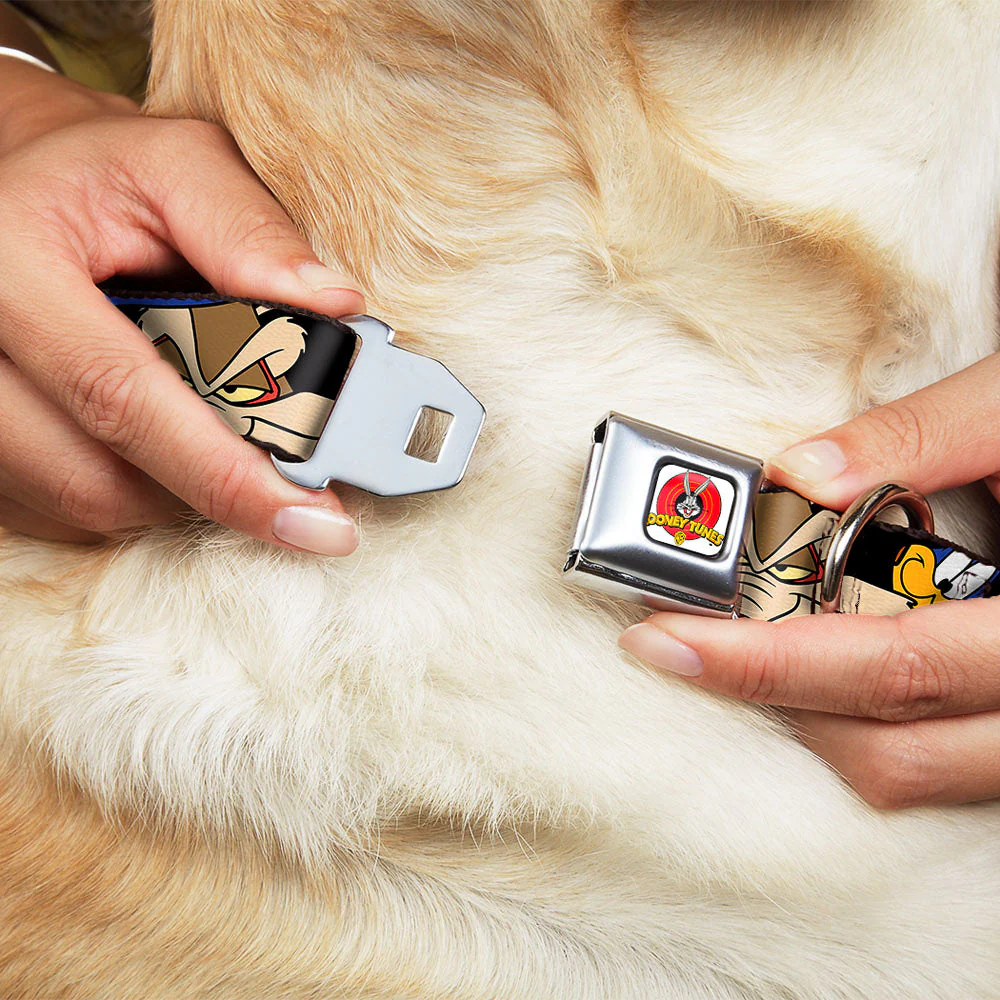 Looney Tunes Logo White Seatbelt Buckle Collar - Road Runner/Wile E. Coyote Expressions Stacked Black - Image 8