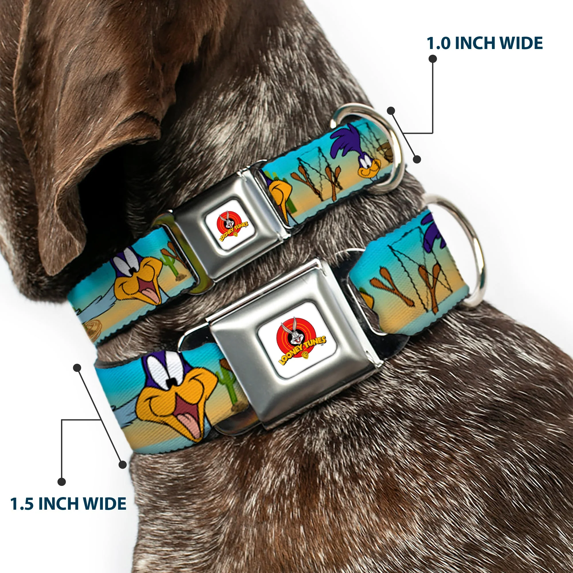 Looney Tunes Logo White Seatbelt Buckle Collar - Road Runner/Wile E. Coyote Scene1 Brown Fade - Image 2
