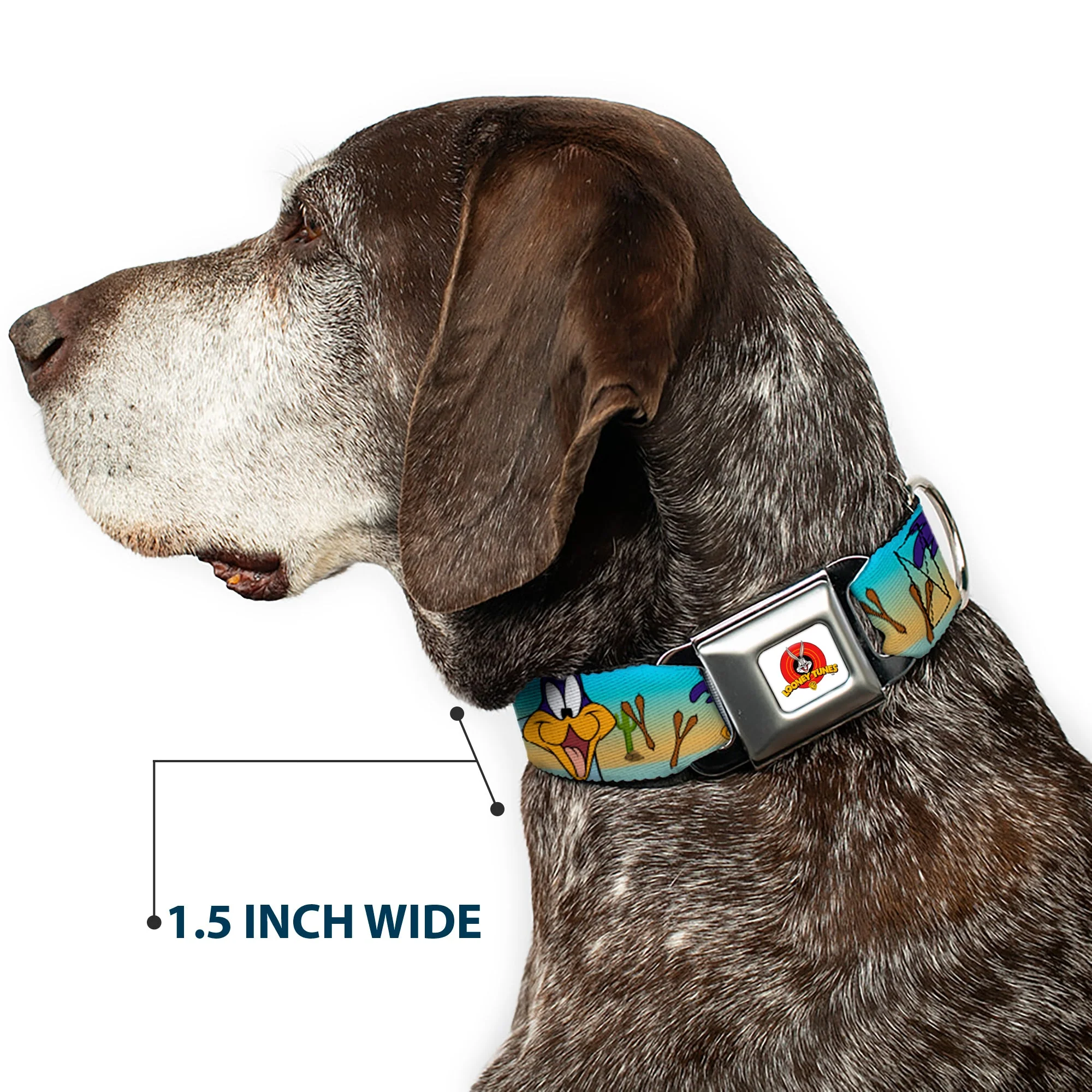 Looney Tunes Logo White Seatbelt Buckle Collar - Road Runner/Wile E. Coyote Scene1 Brown Fade - Image 7