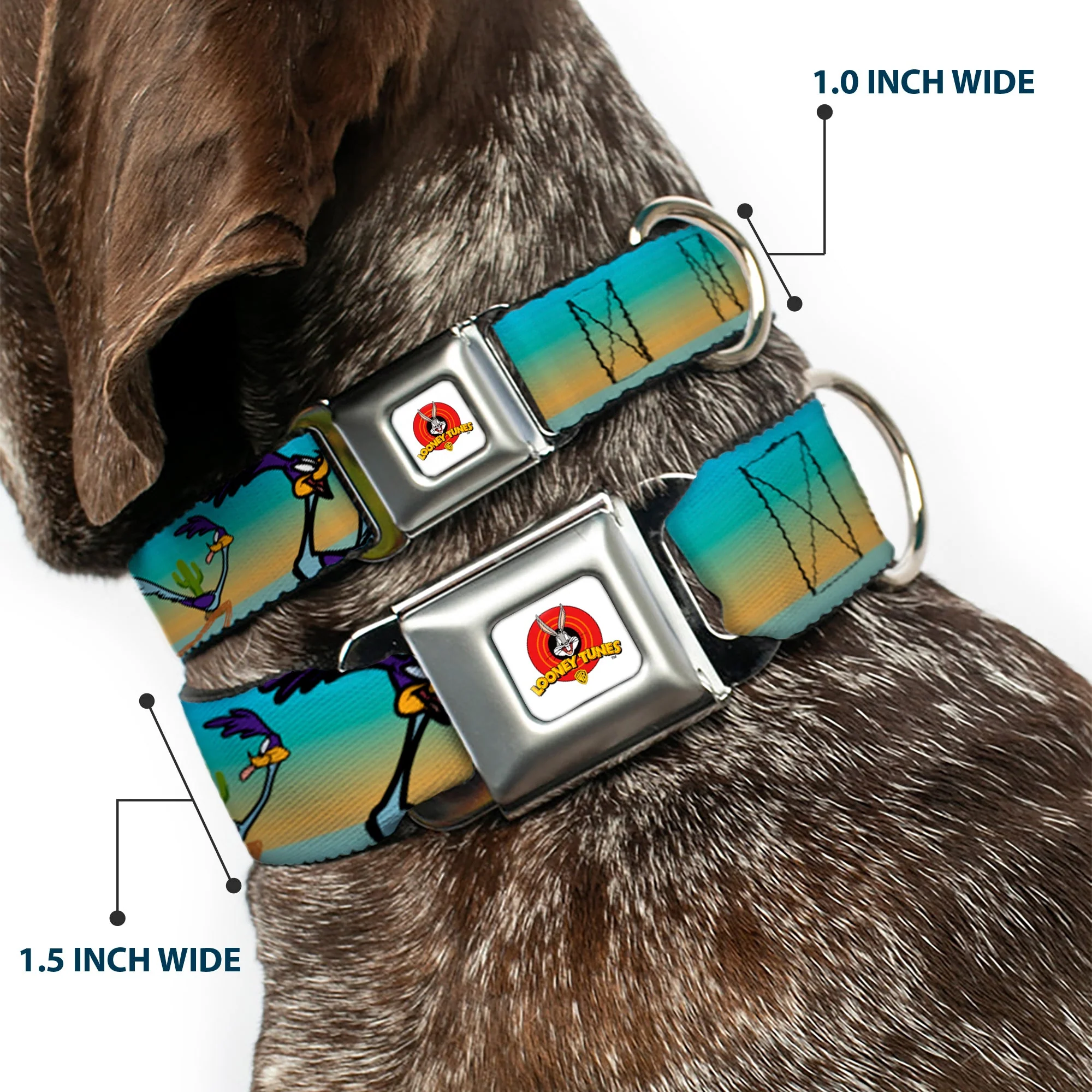 Looney Tunes Logo White Seatbelt Buckle Collar - Road Runner/Wile E. Coyote Scene1 Desert - Image 2