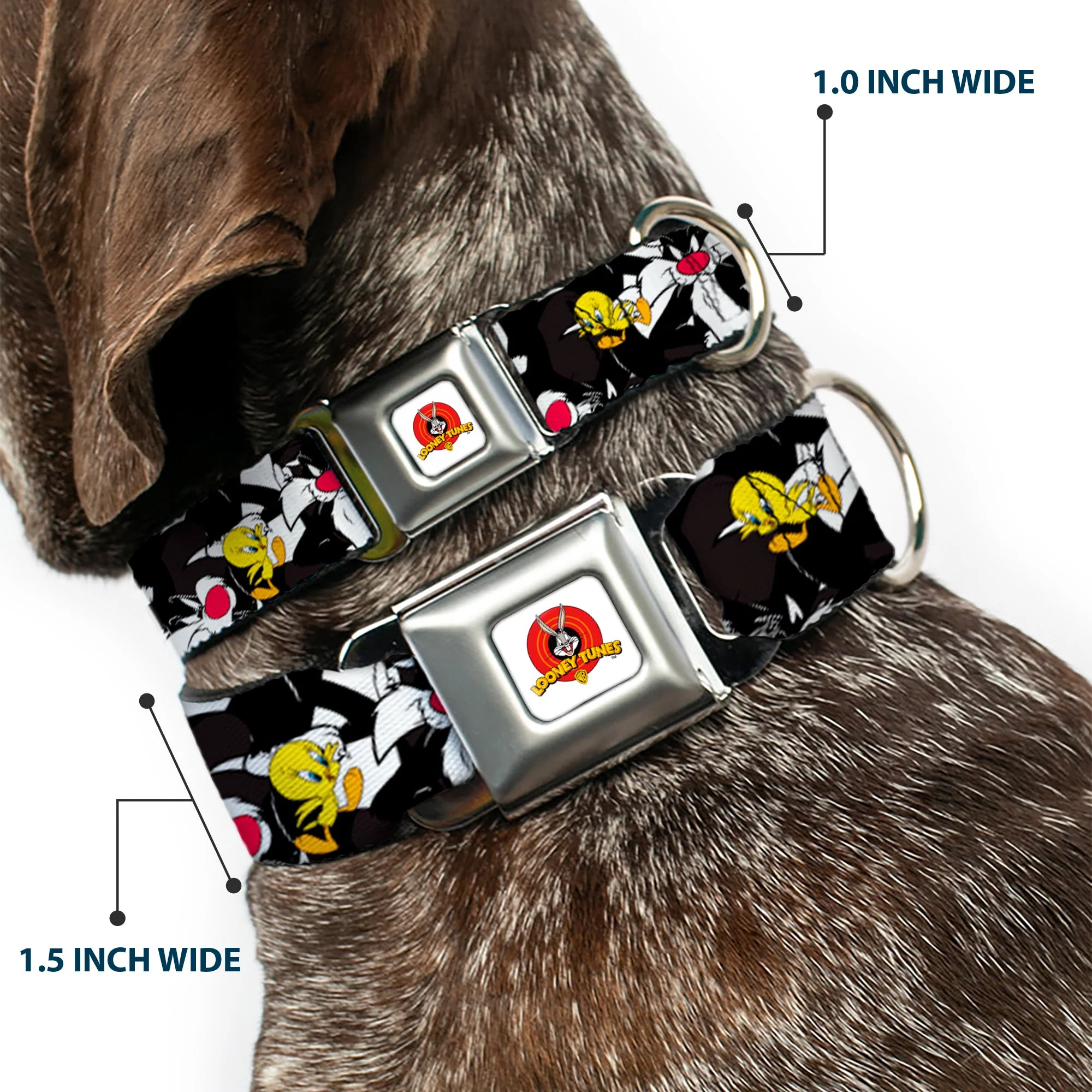 Looney Tunes Logo White Seatbelt Buckle Collar - Sylvester and Tweety Poses Scattered Charcoal - Image 2