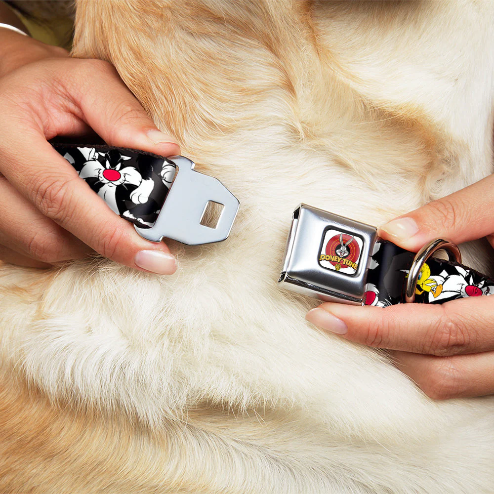Looney Tunes Logo White Seatbelt Buckle Collar - Sylvester and Tweety Poses Scattered Charcoal - Image 8