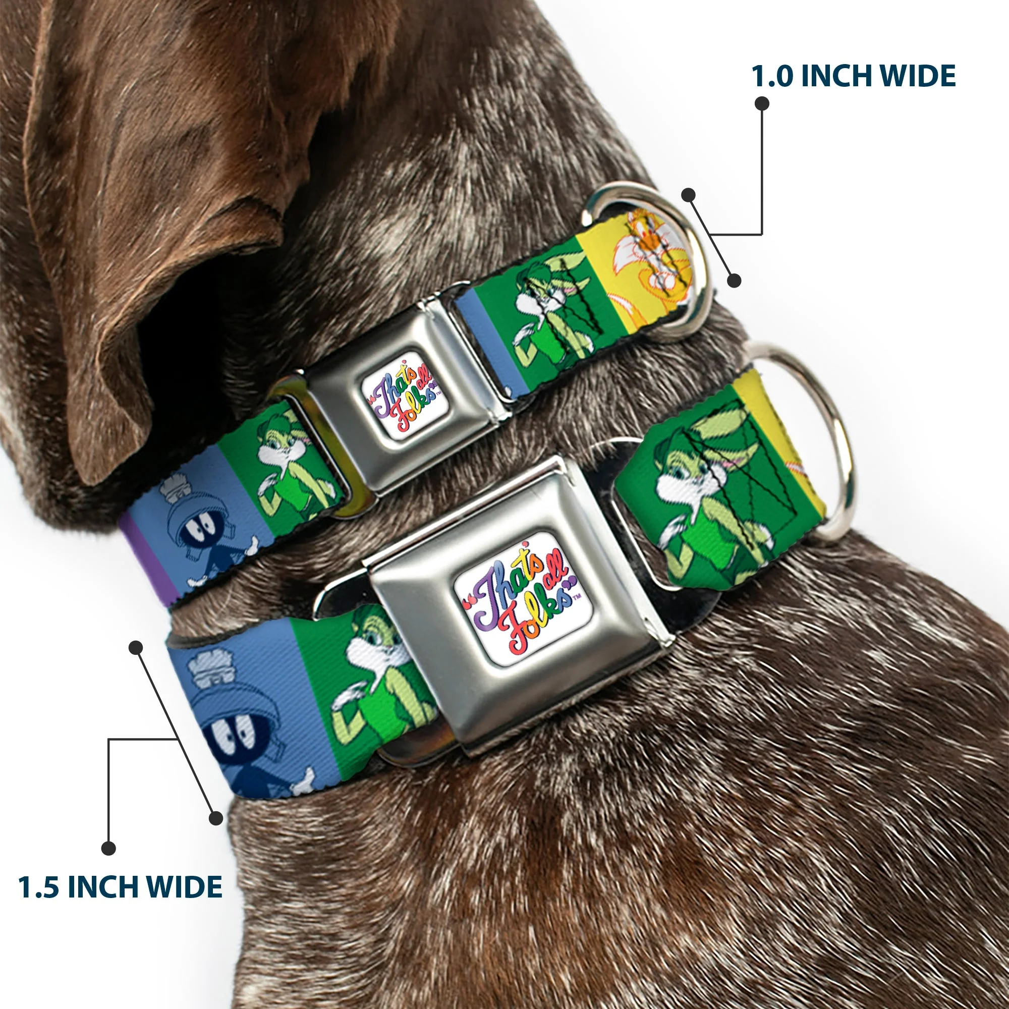 Looney Tunes THAT'S ALL FOLKS Script Full Color White/Multi Color Seatbelt Buckle Collar - Looney Tunes 6-Character Pose Pride Blocks Multi Color - Image 2
