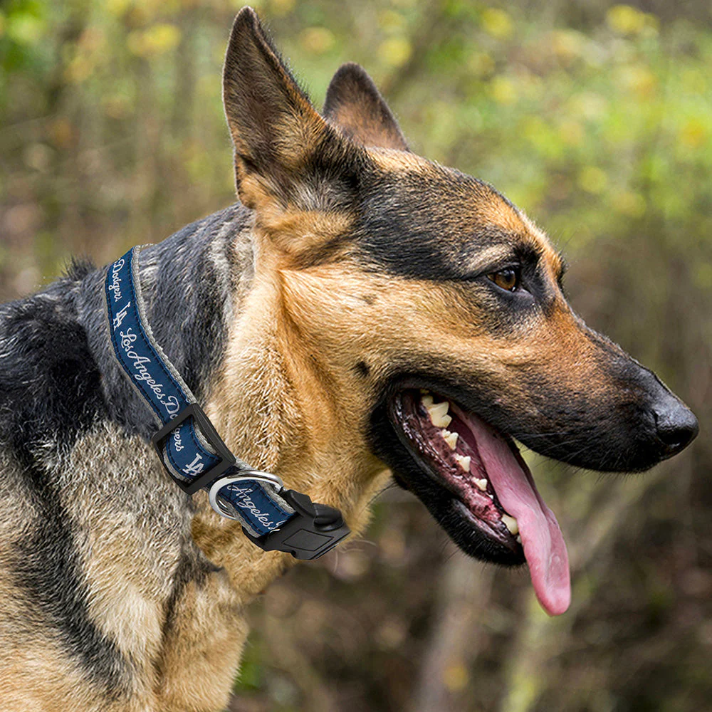 Los Angeles Dodgers Dog Collar - Image 3