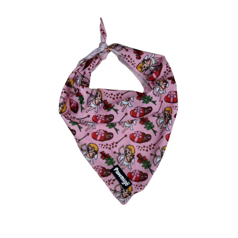 Lovestruck Bandana