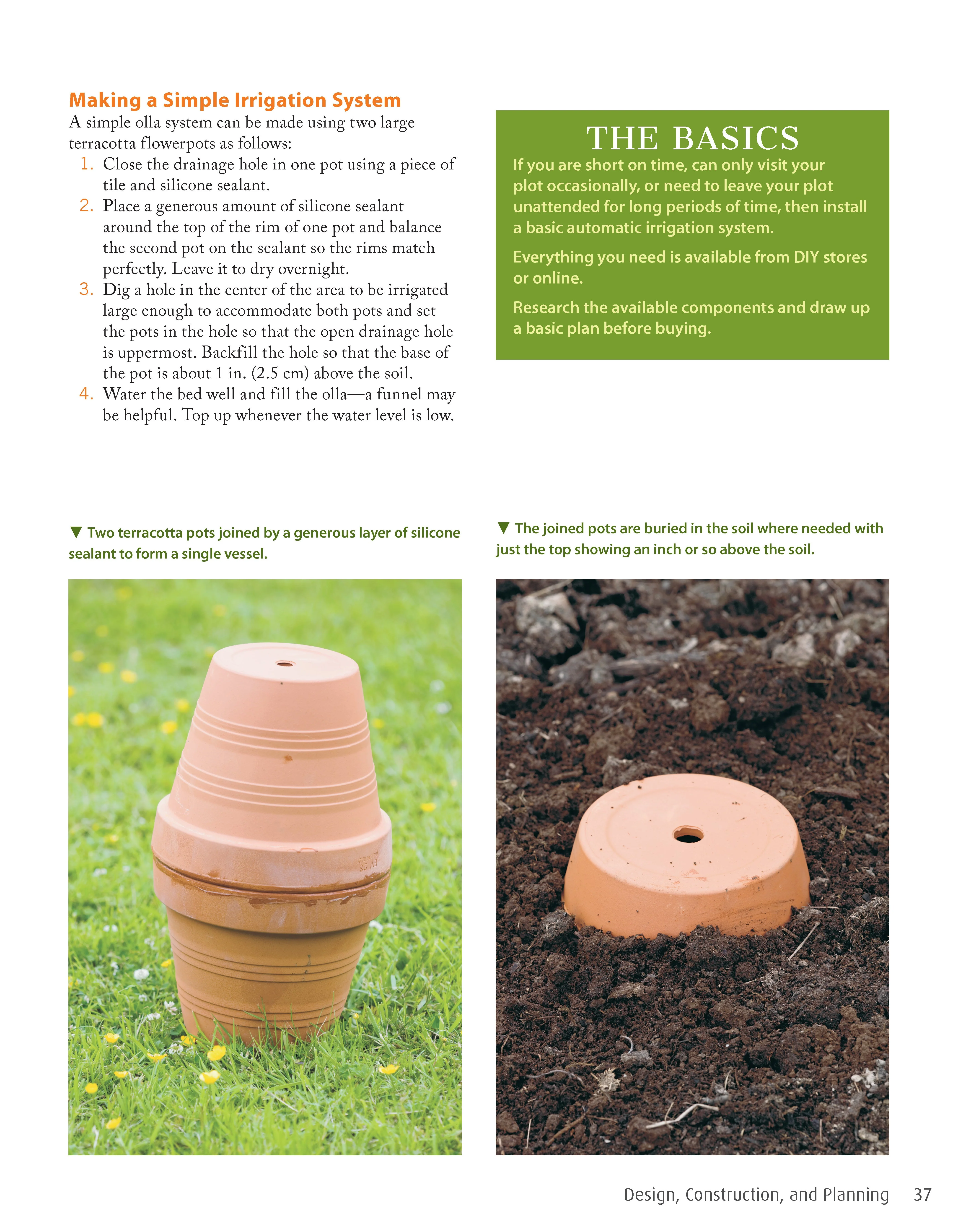 Low-Maintenance Vegetable Gardening - Image 4