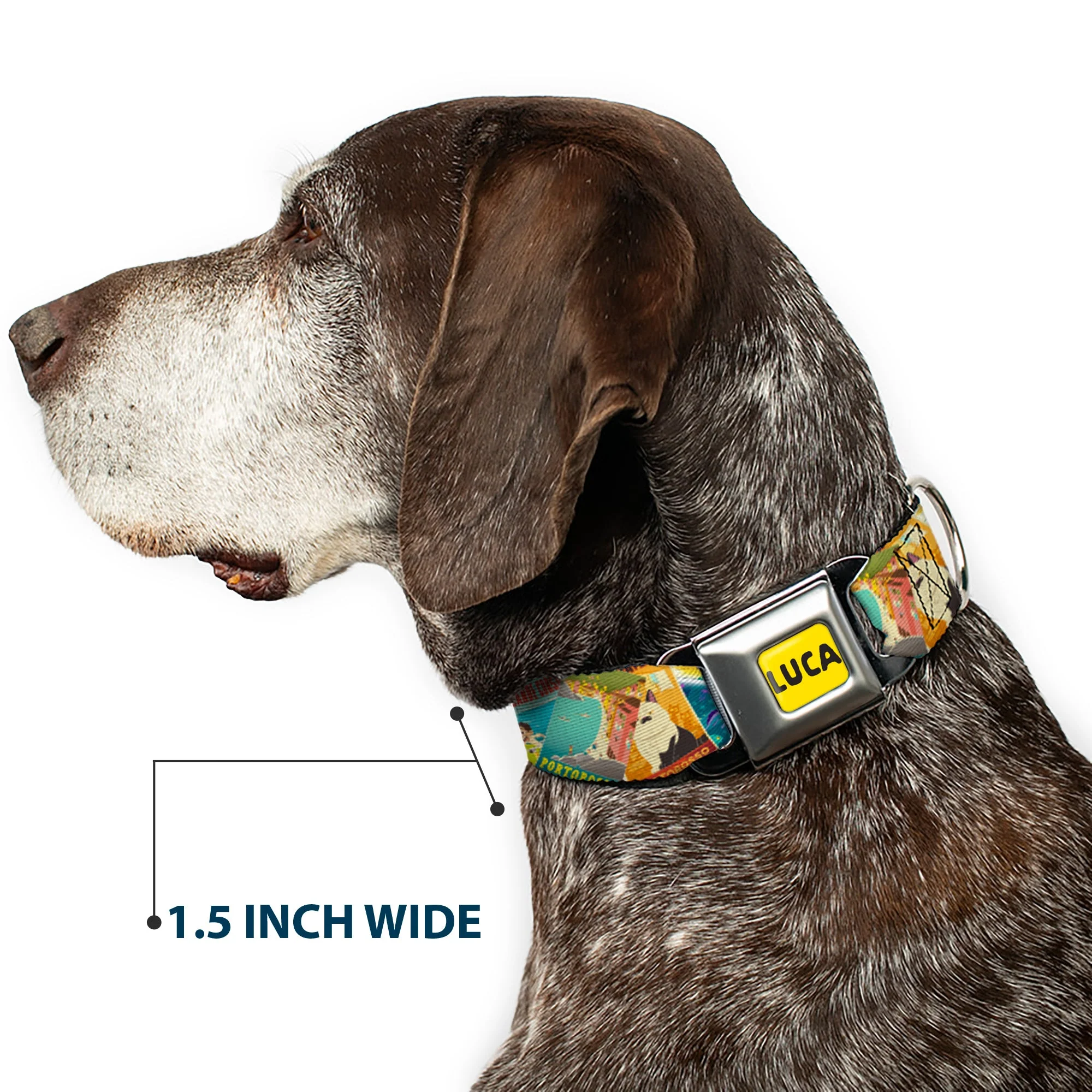 LUCA Logo Full Color Yellow/Black Seatbelt Buckle Collar - Luca The Piazza Poster Collage Stacked - Image 7