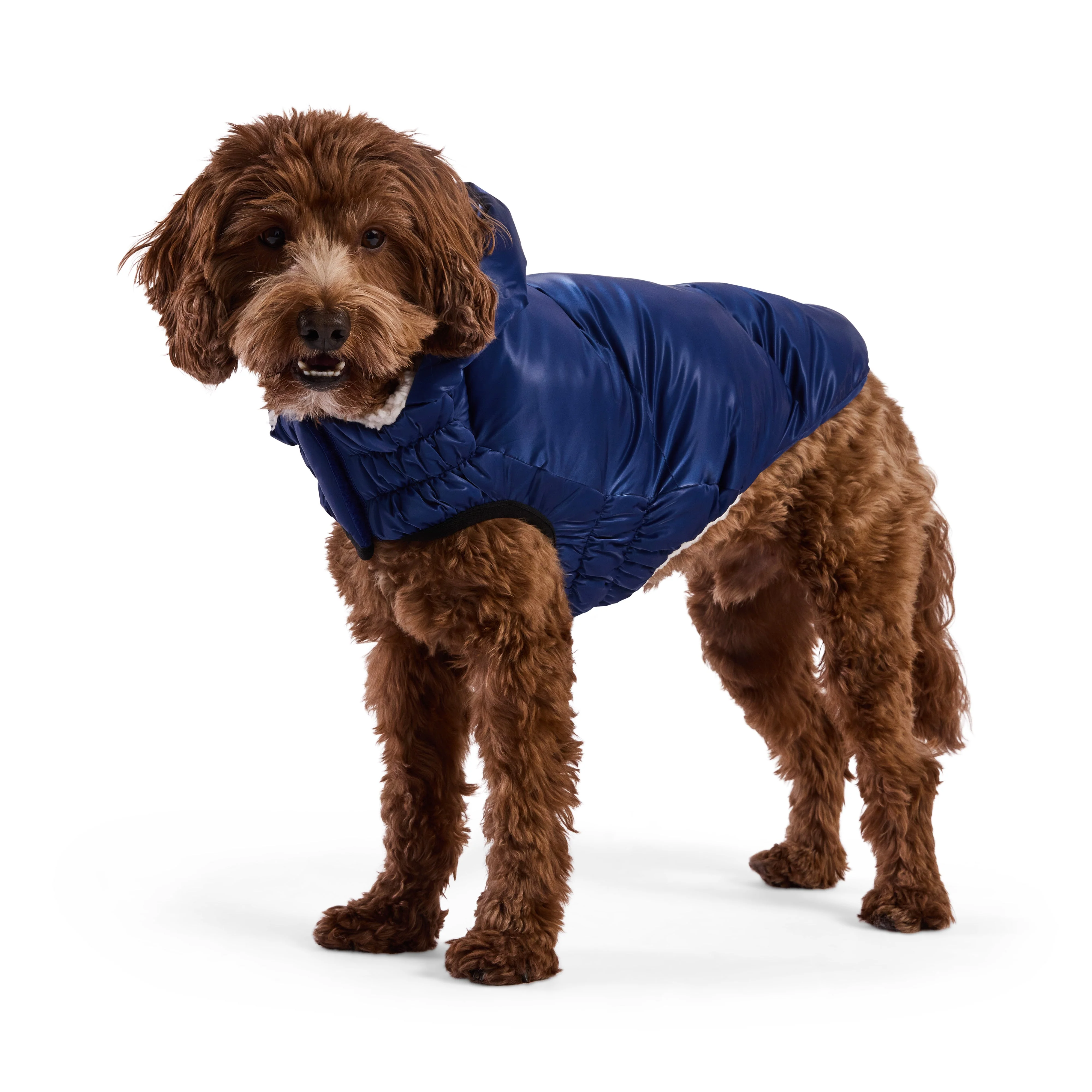 GF Pet.us fabric Dog Jacket - blue; pink; multicolor-3/XS - Image 2
