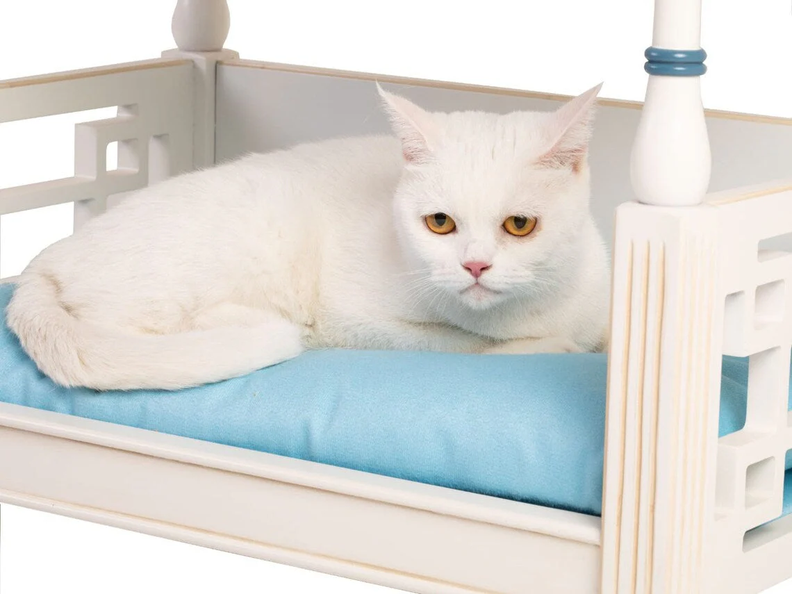 Luxury Japanese Pet Bed - Image 10