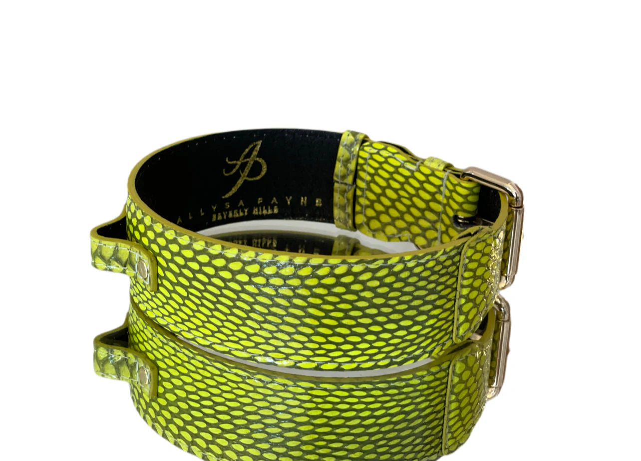 Luxury Pet Fashion Neon Green Snakeskin Collar/Classic Hardware - Image 2