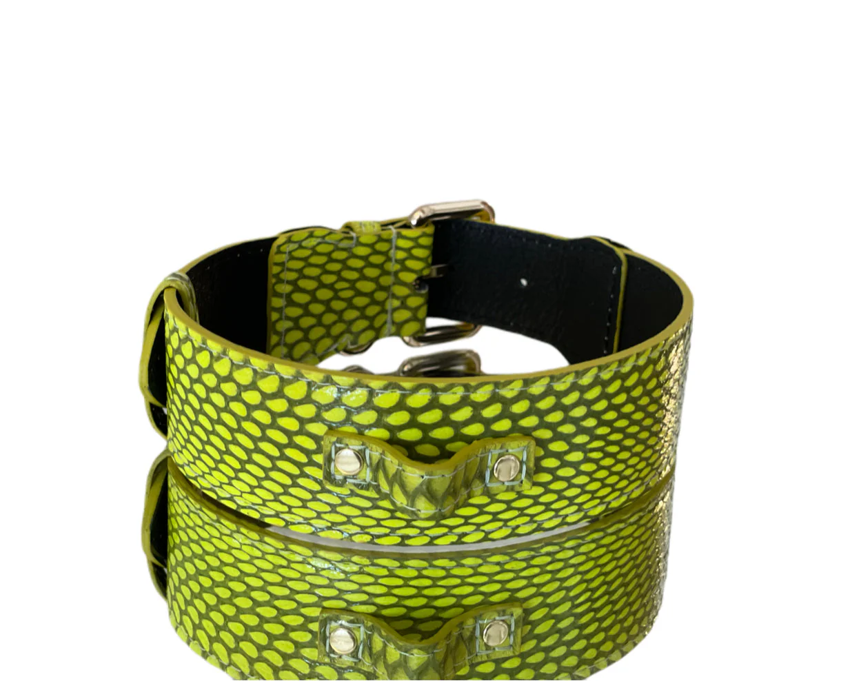 Luxury Pet Fashion Neon Green Snakeskin Collar/Classic Hardware - Image 3